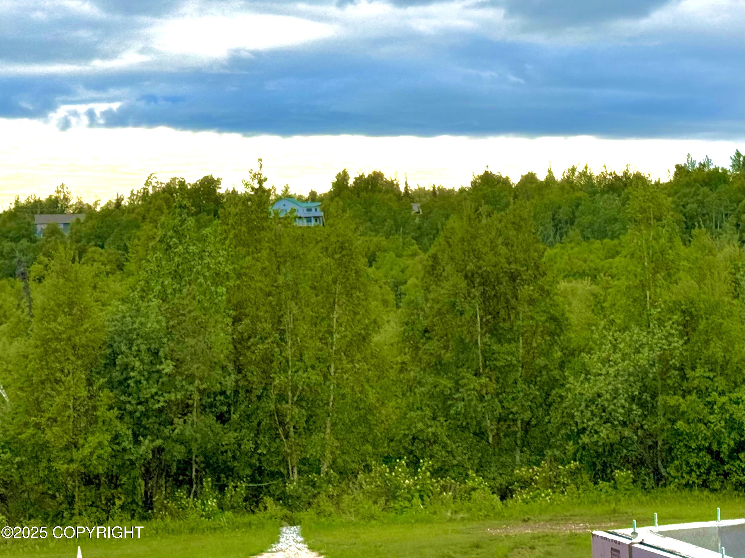 2250 S St John Court, Wasilla, Alaska image 3