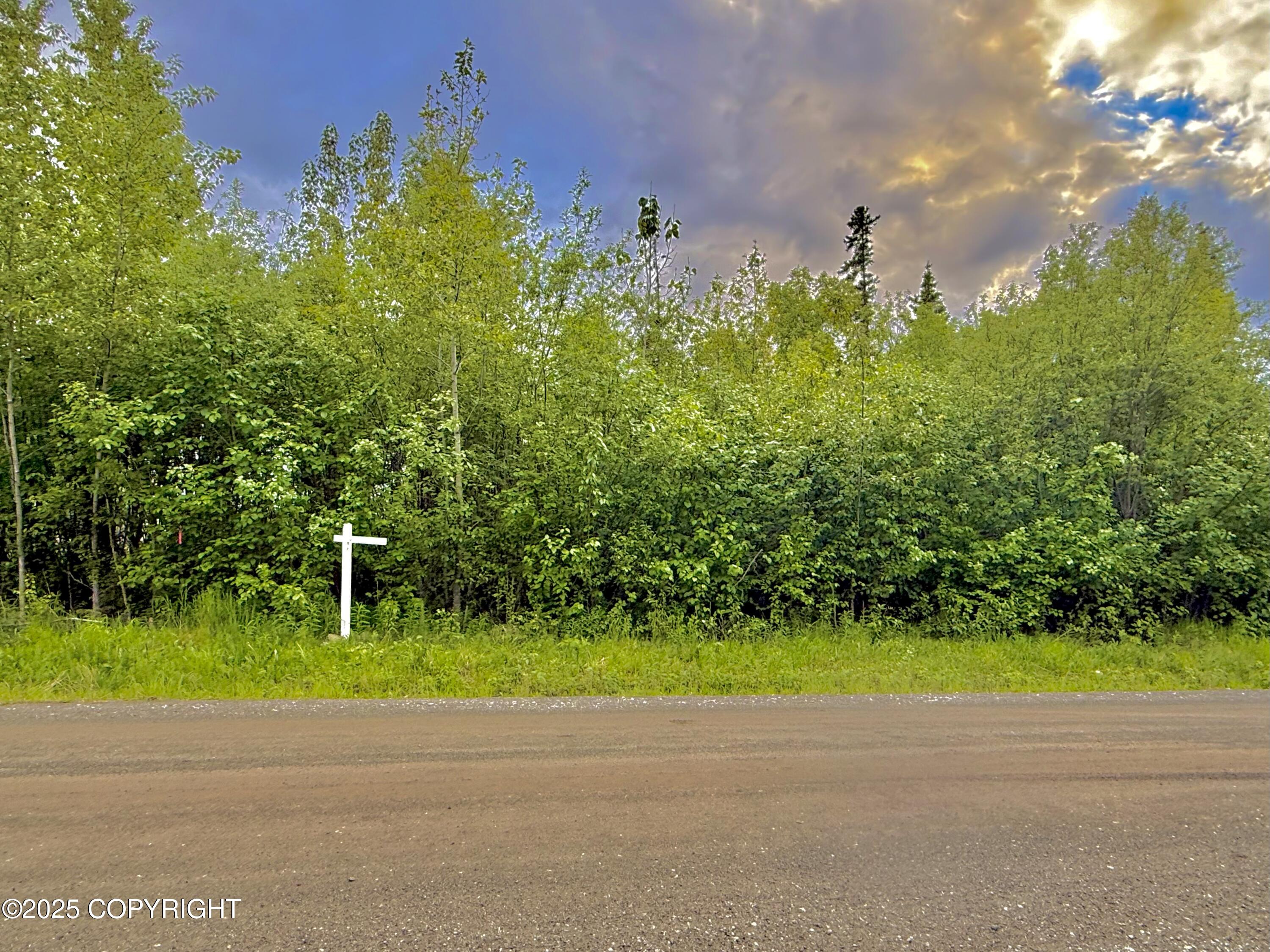 2250 S St John Court, Wasilla, Alaska image 6