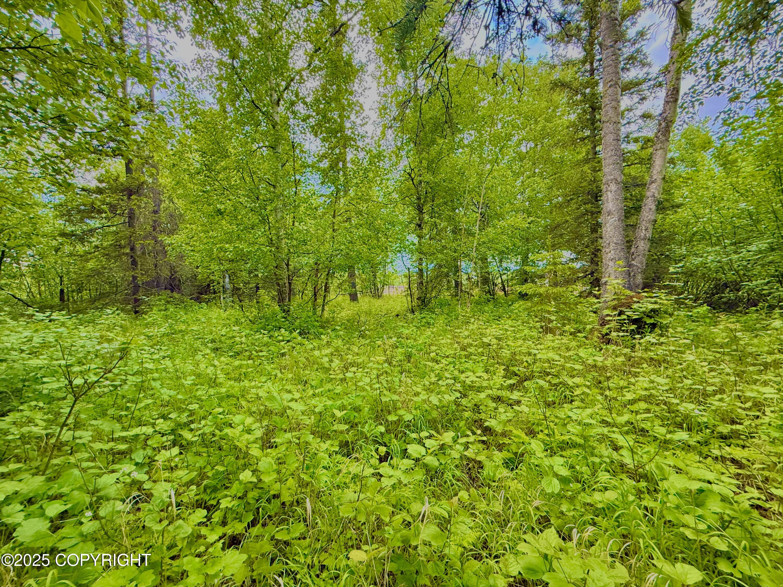 2250 S St John Court, Wasilla, Alaska image 12