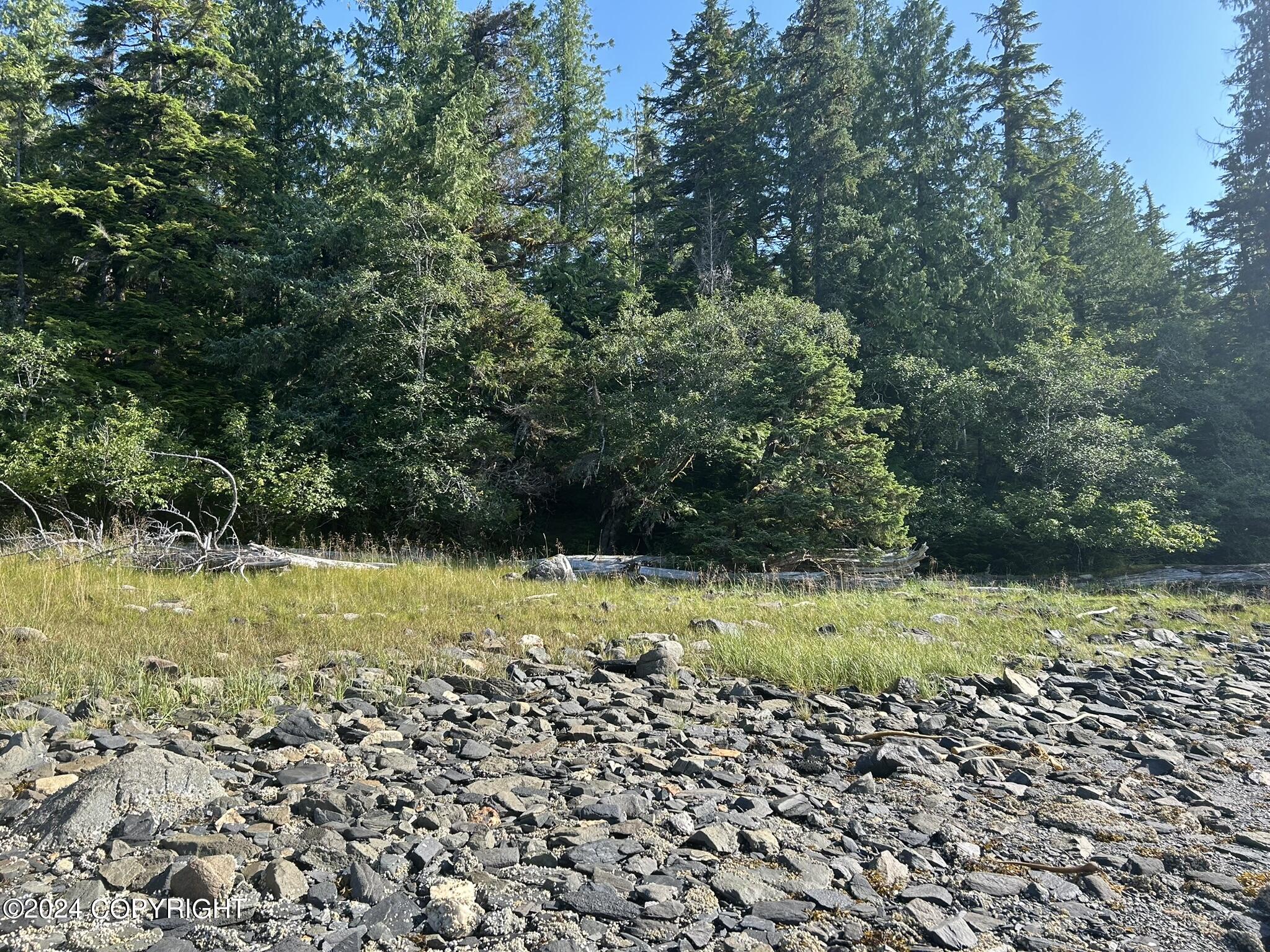 L7 B1 Thoms Place, Wrangell, Alaska image 2