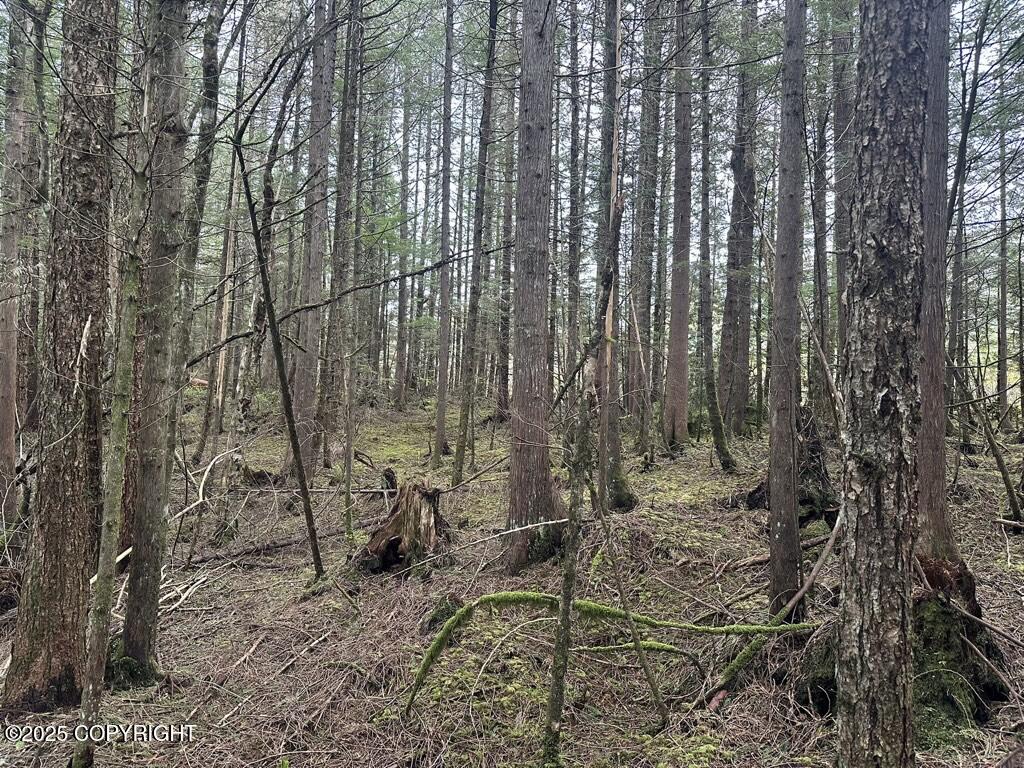 612 Council Drive, Wrangell, Alaska image 2