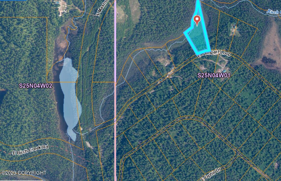 20499 E Rampart Loop, Talkeetna, Alaska image 19