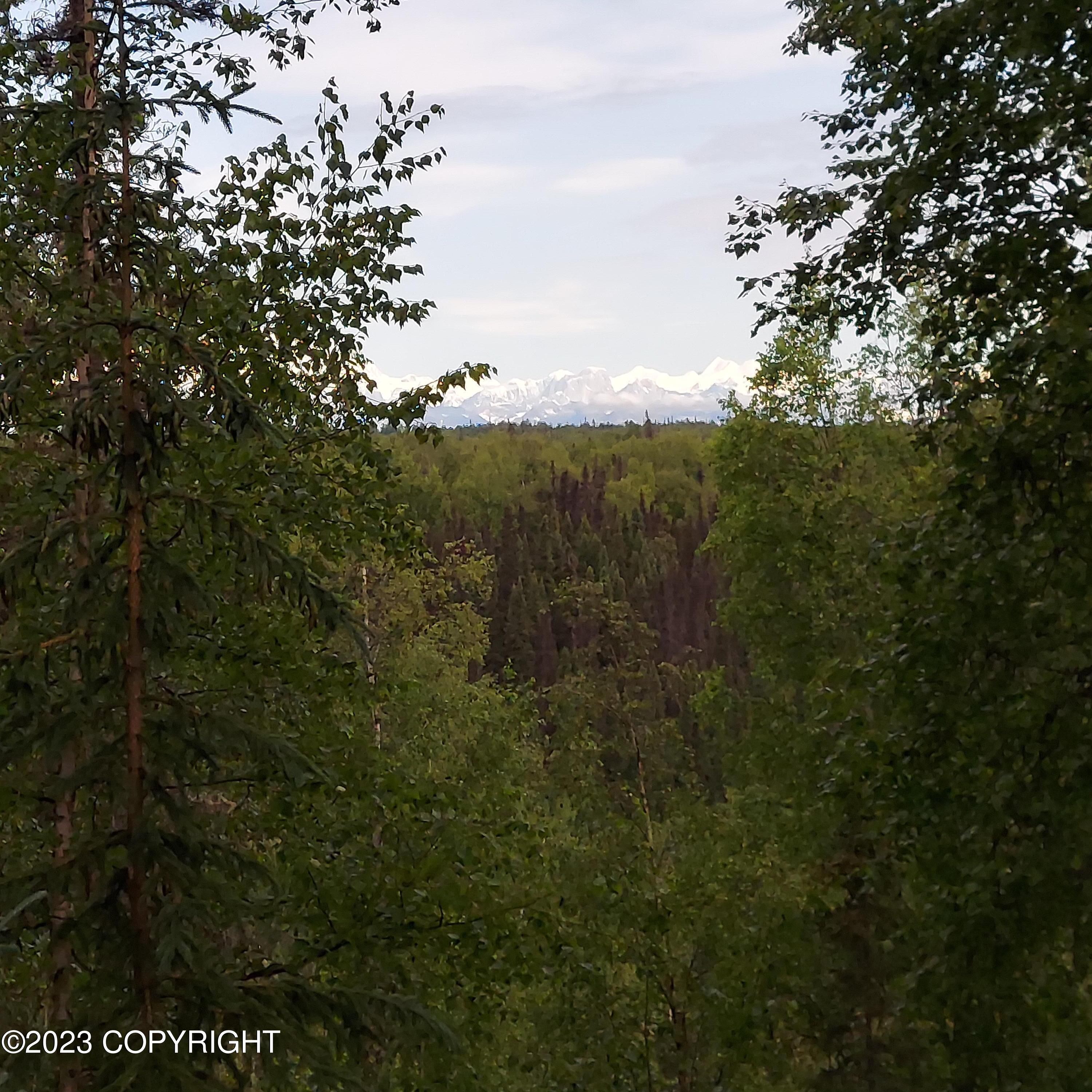 20499 E Rampart Loop, Talkeetna, Alaska image 3