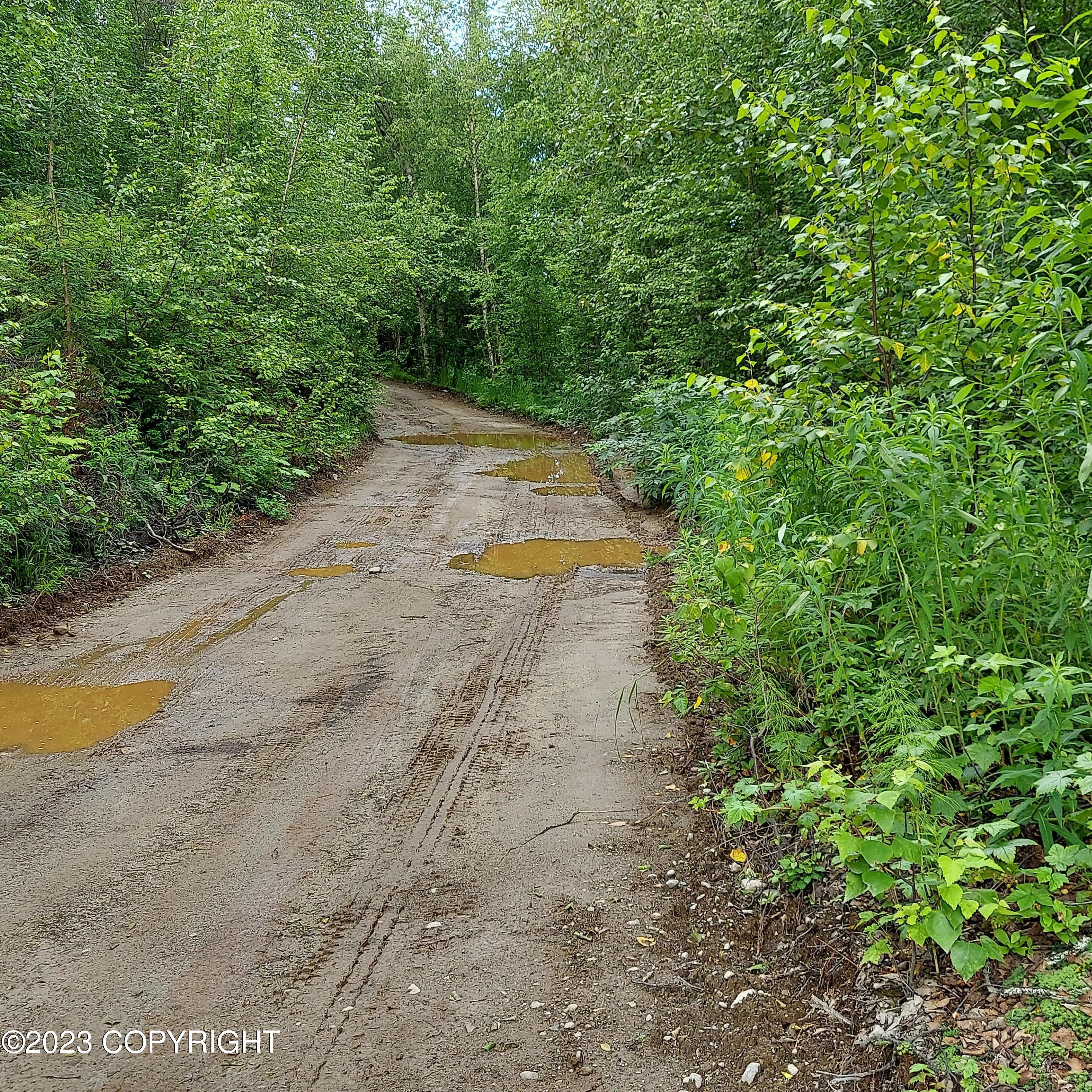 20499 E Rampart Loop, Talkeetna, Alaska image 8