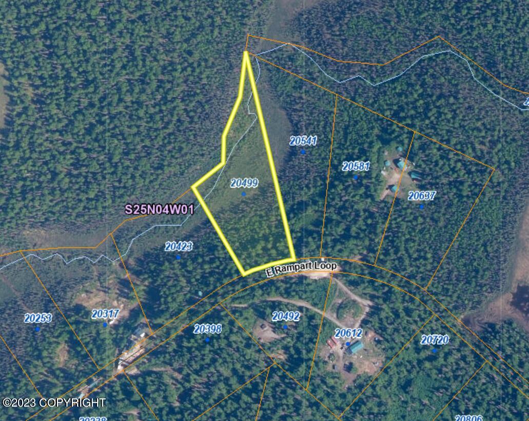20499 E Rampart Loop, Talkeetna, Alaska image 14