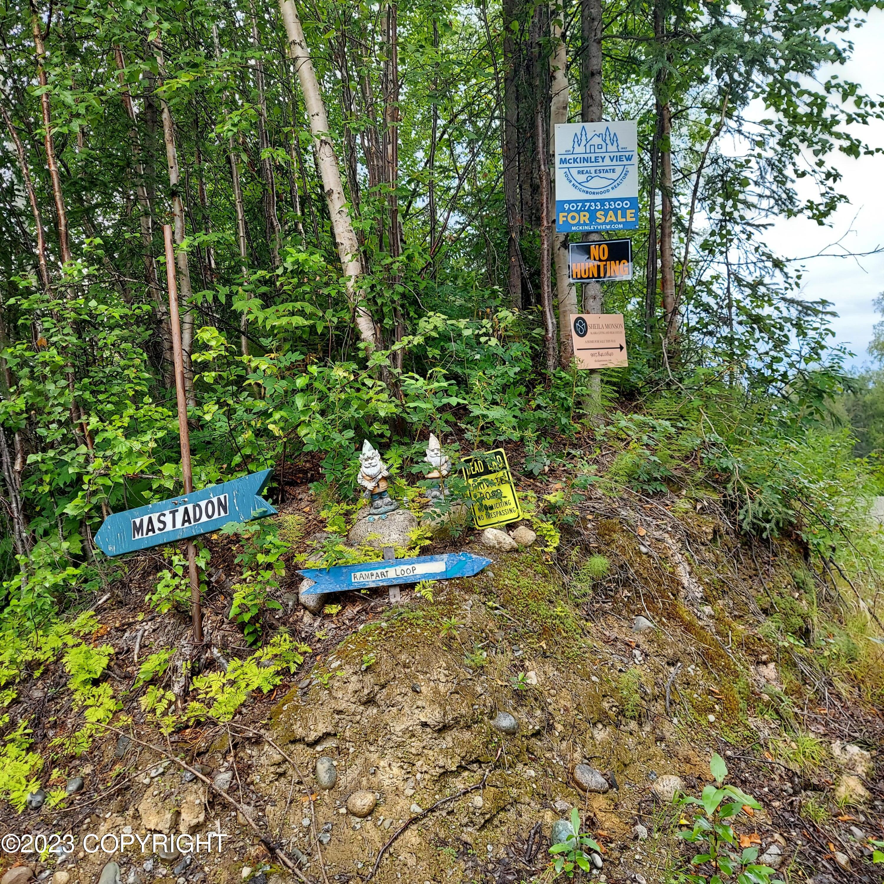 20499 E Rampart Loop, Talkeetna, Alaska image 21