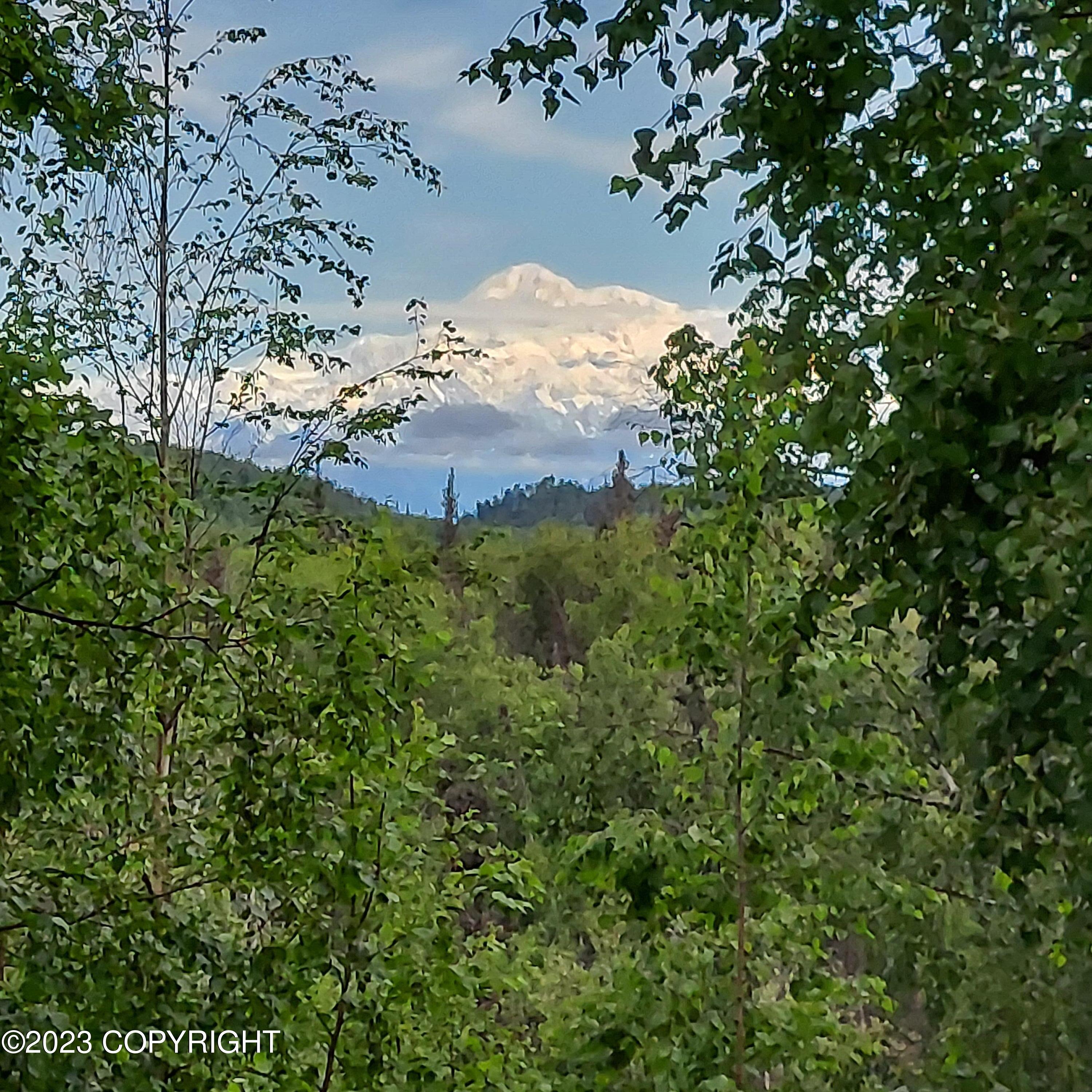 20499 E Rampart Loop, Talkeetna, Alaska image 1