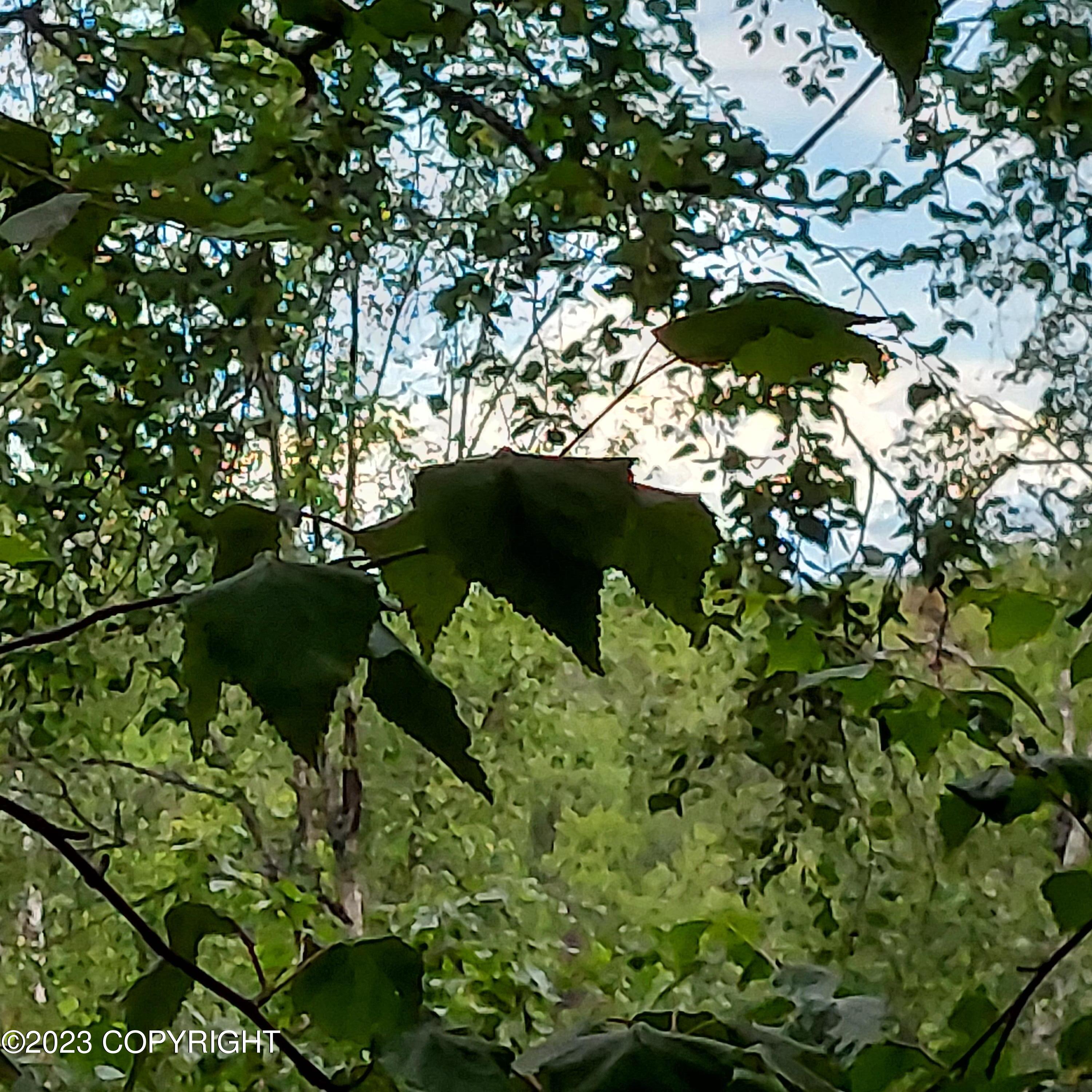20499 E Rampart Loop, Talkeetna, Alaska image 10