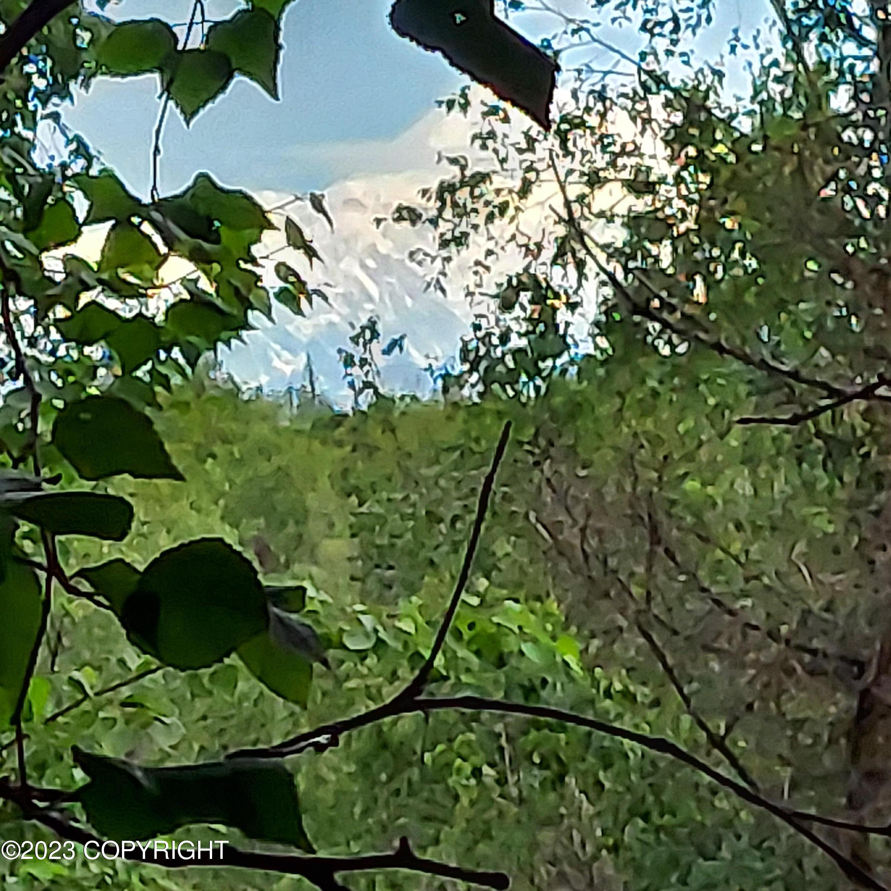20499 E Rampart Loop, Talkeetna, Alaska image 9