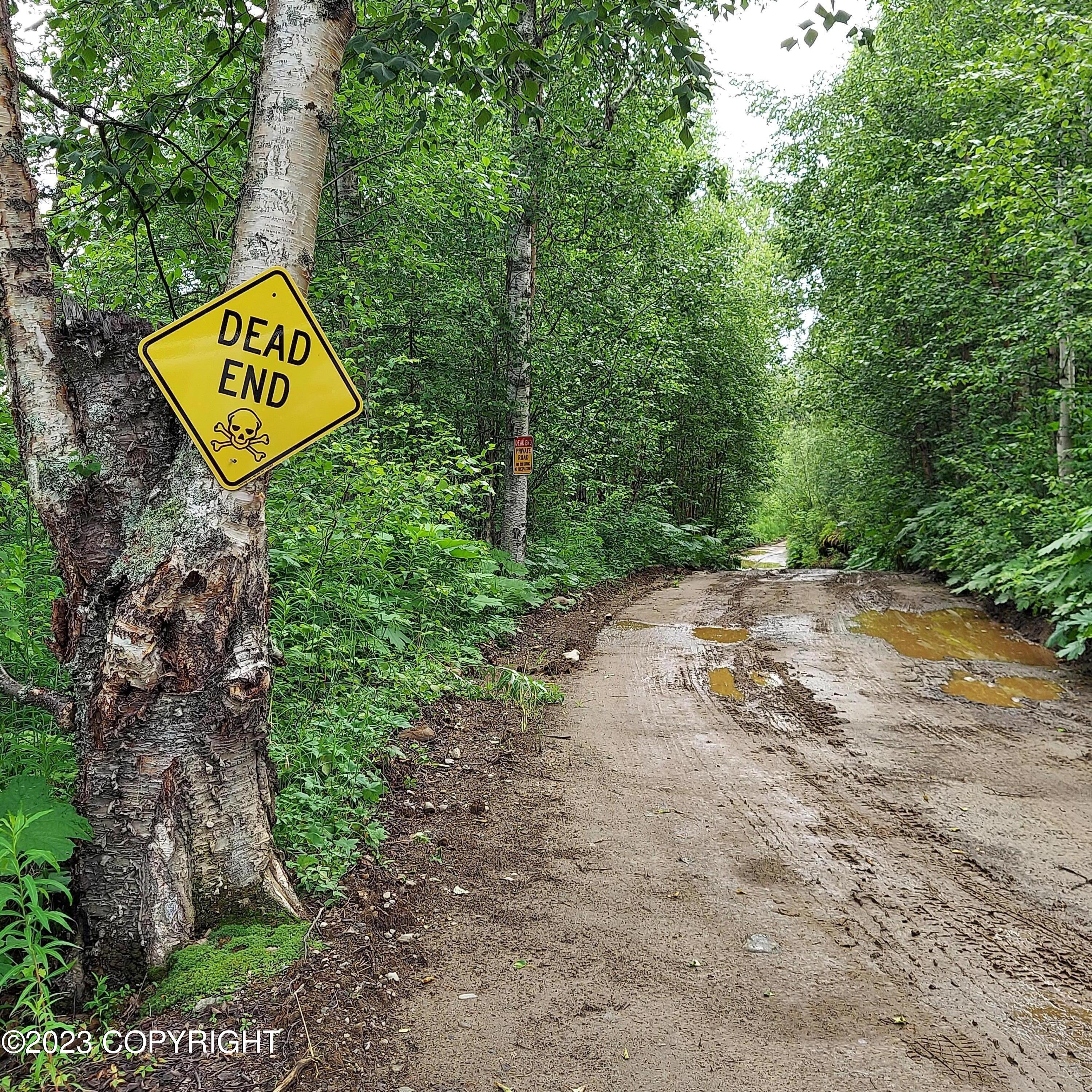 20499 E Rampart Loop, Talkeetna, Alaska image 7