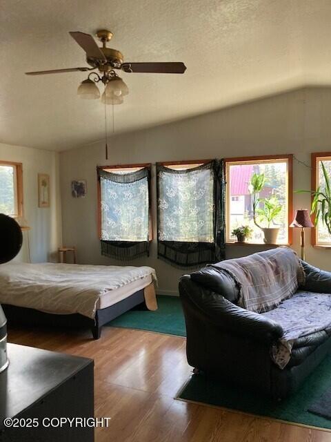 19405 Ridge Street, Kasilof, Alaska image 13