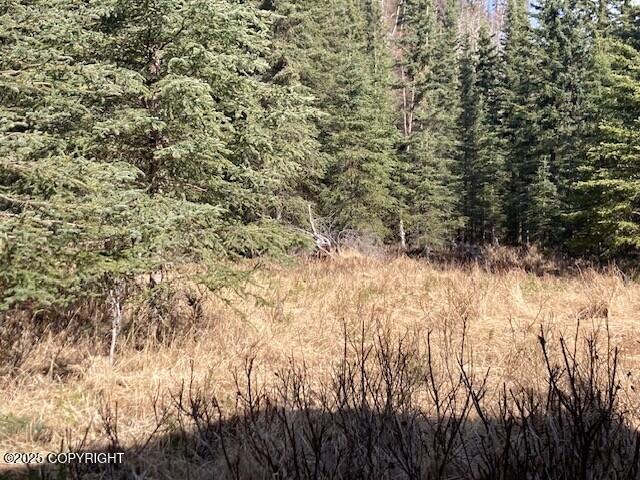 19405 Ridge Street, Kasilof, Alaska image 22