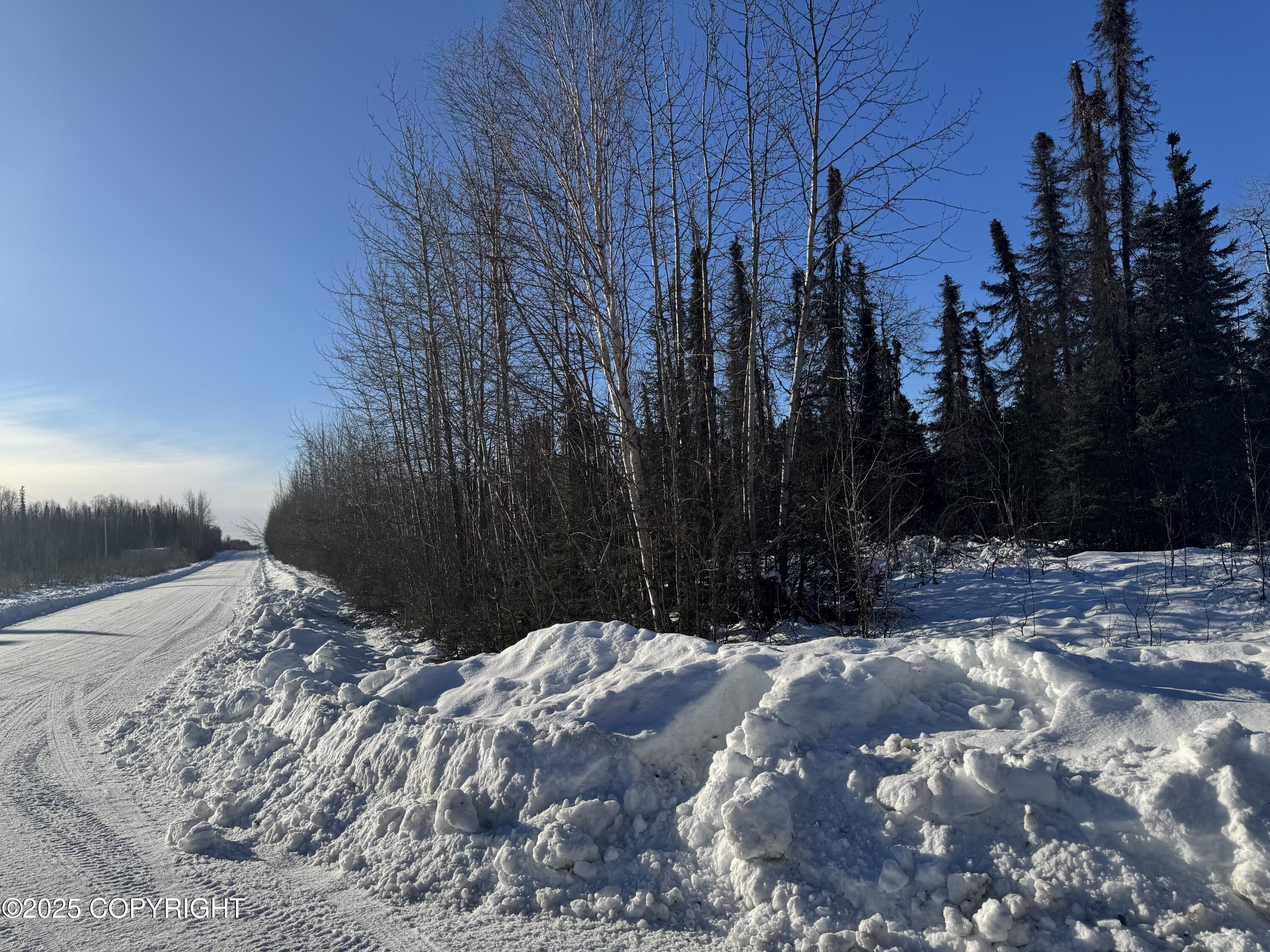 L1 BE W Montana Creek Addn 2 Road, Talkeetna, Alaska image 5