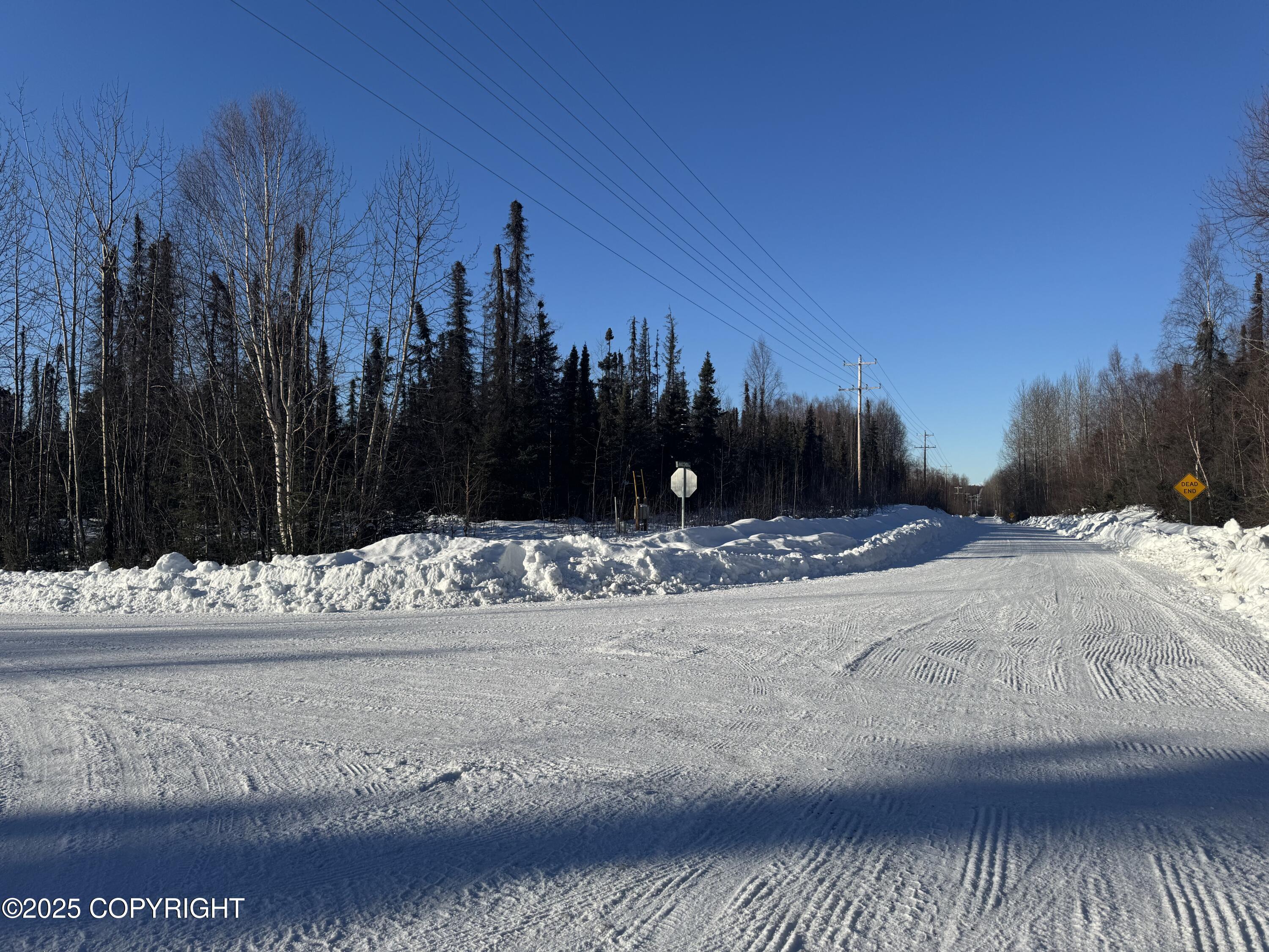 L1 BE W Montana Creek Addn 2 Road, Talkeetna, Alaska image 4