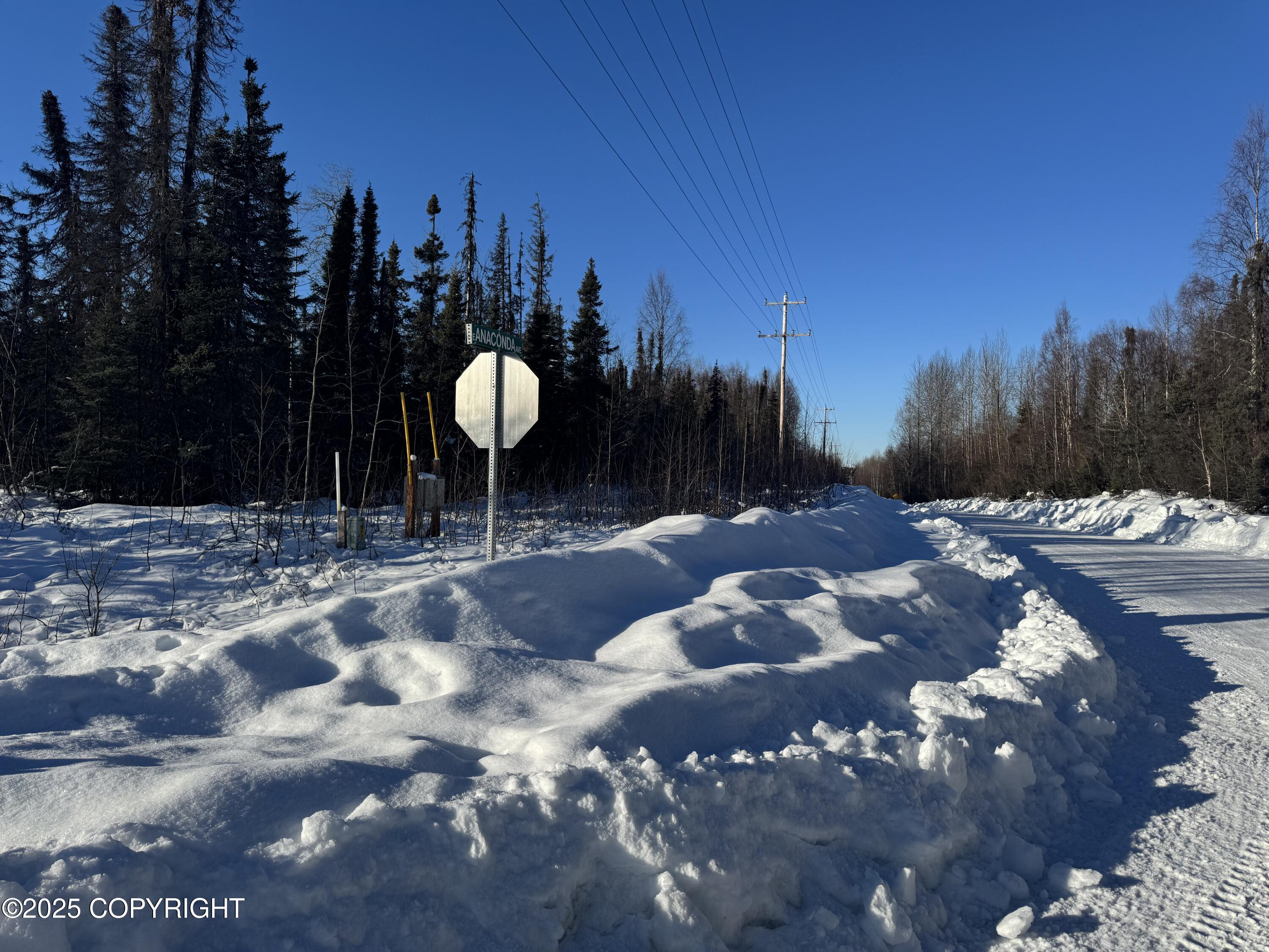 L1 BE W Montana Creek Addn 2 Road, Talkeetna, Alaska image 6