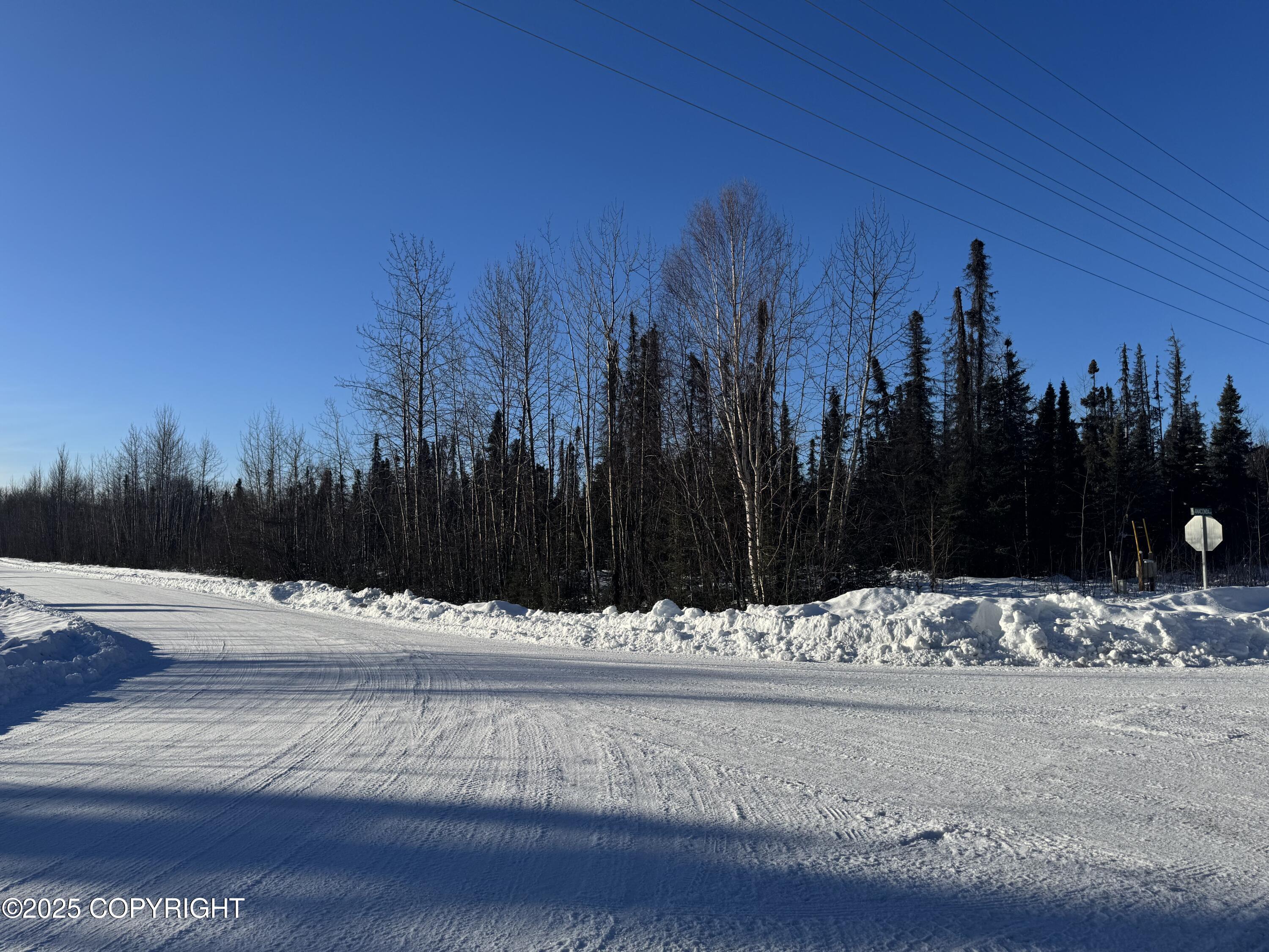 L1 BE W Montana Creek Addn 2 Road, Talkeetna, Alaska image 1