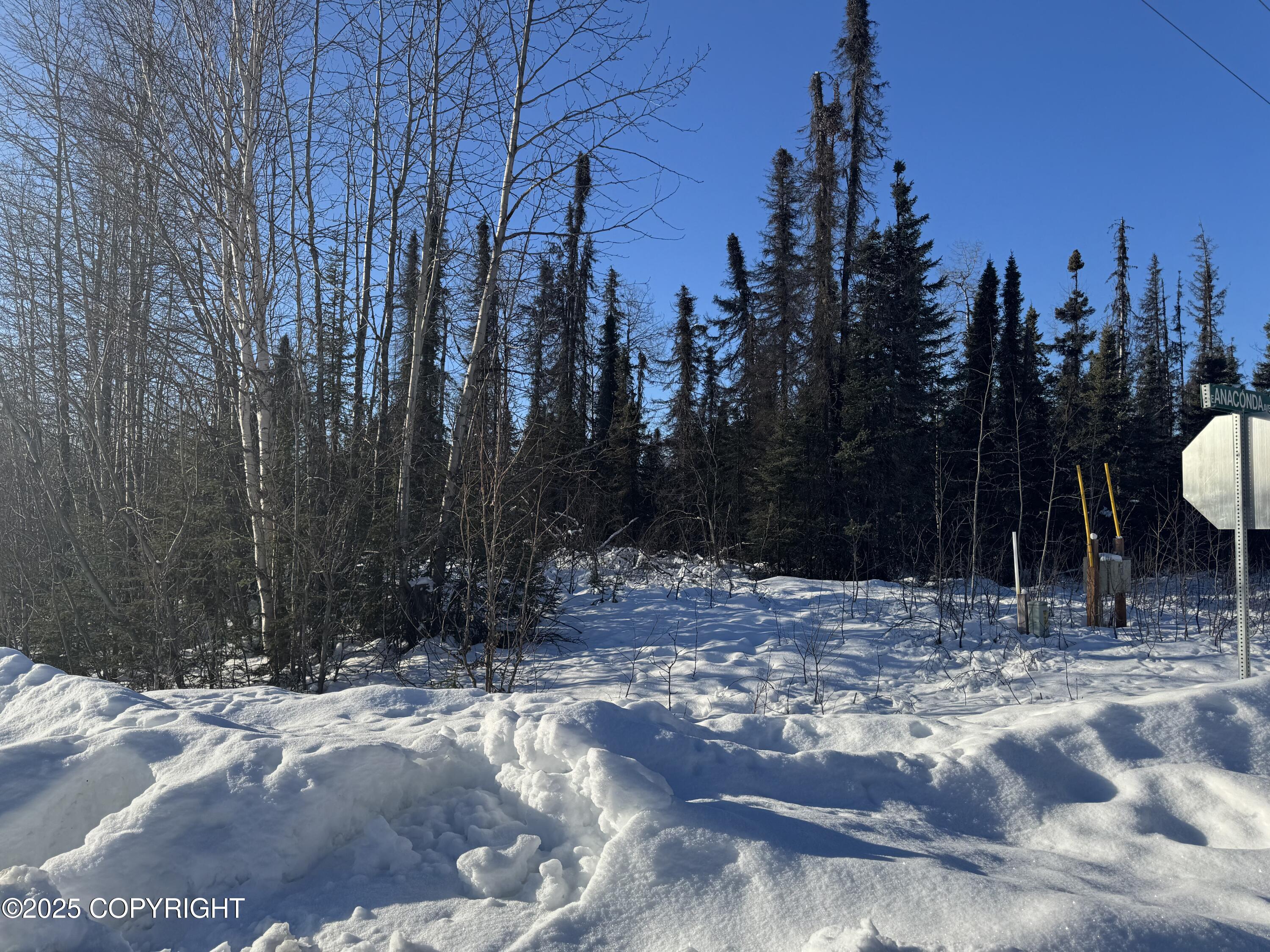 L1 BE W Montana Creek Addn 2 Road, Talkeetna, Alaska image 7