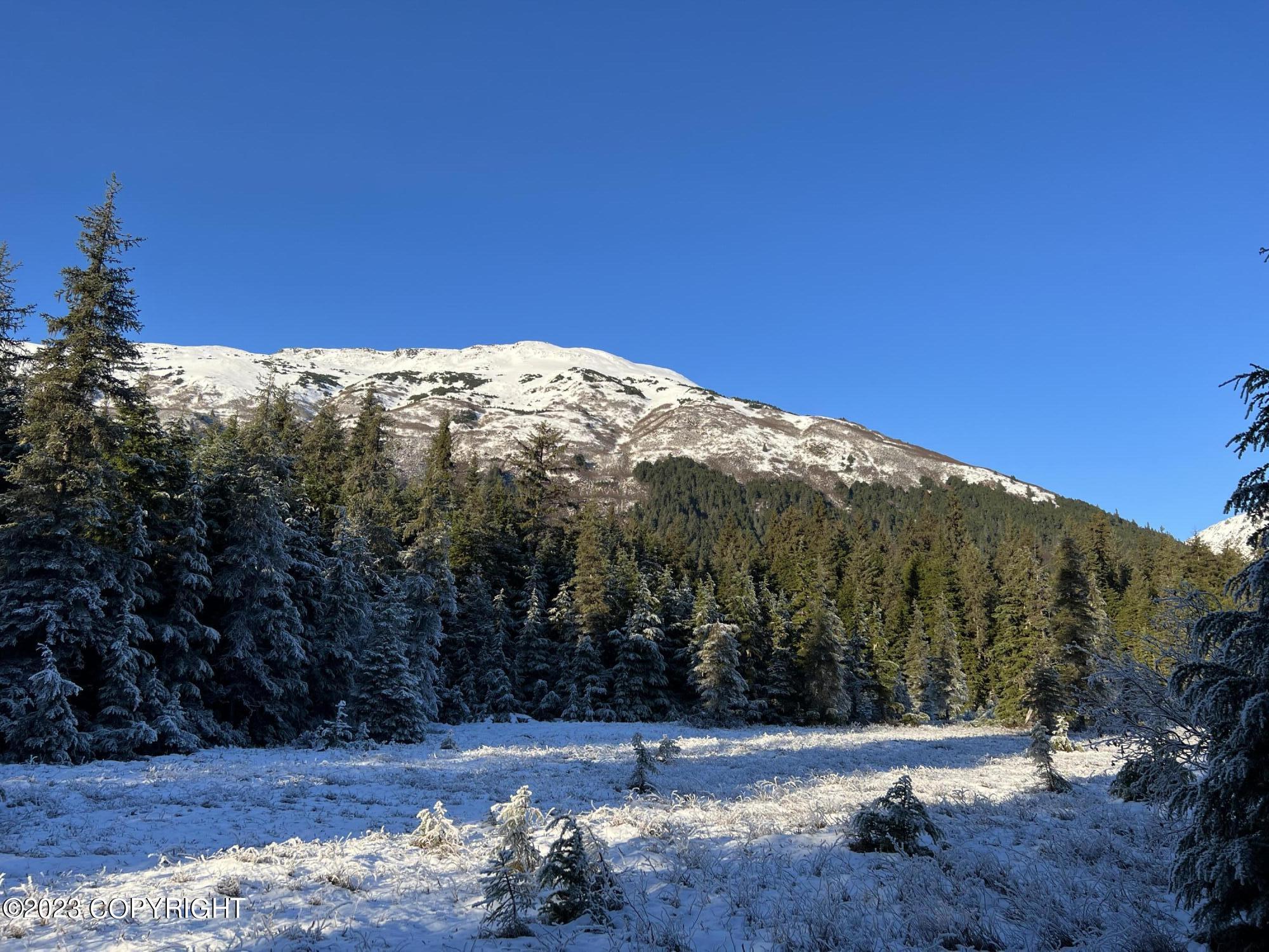 000 Crow Creek Road, Girdwood, Alaska image 1