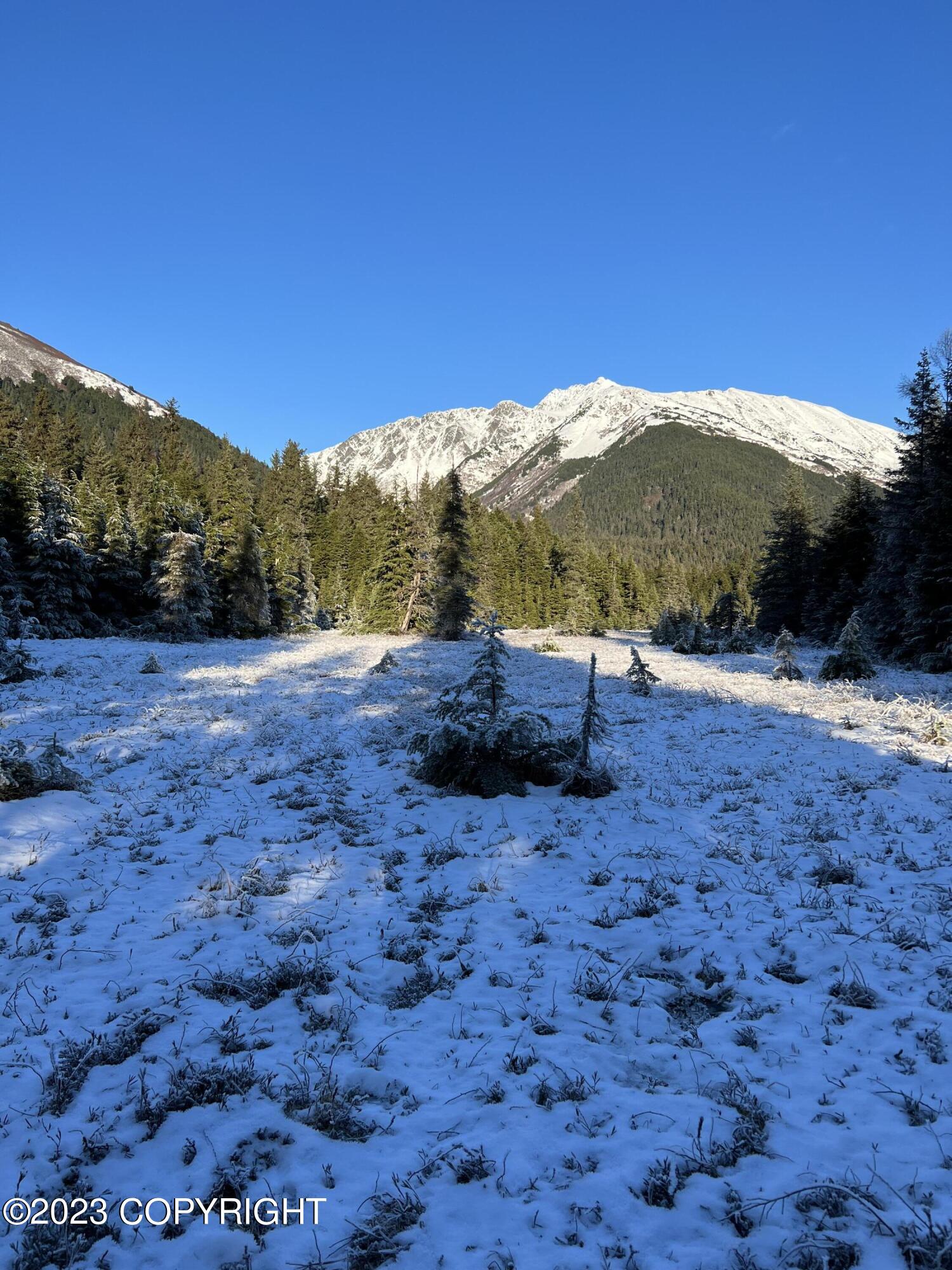 000 Crow Creek Road, Girdwood, Alaska image 2