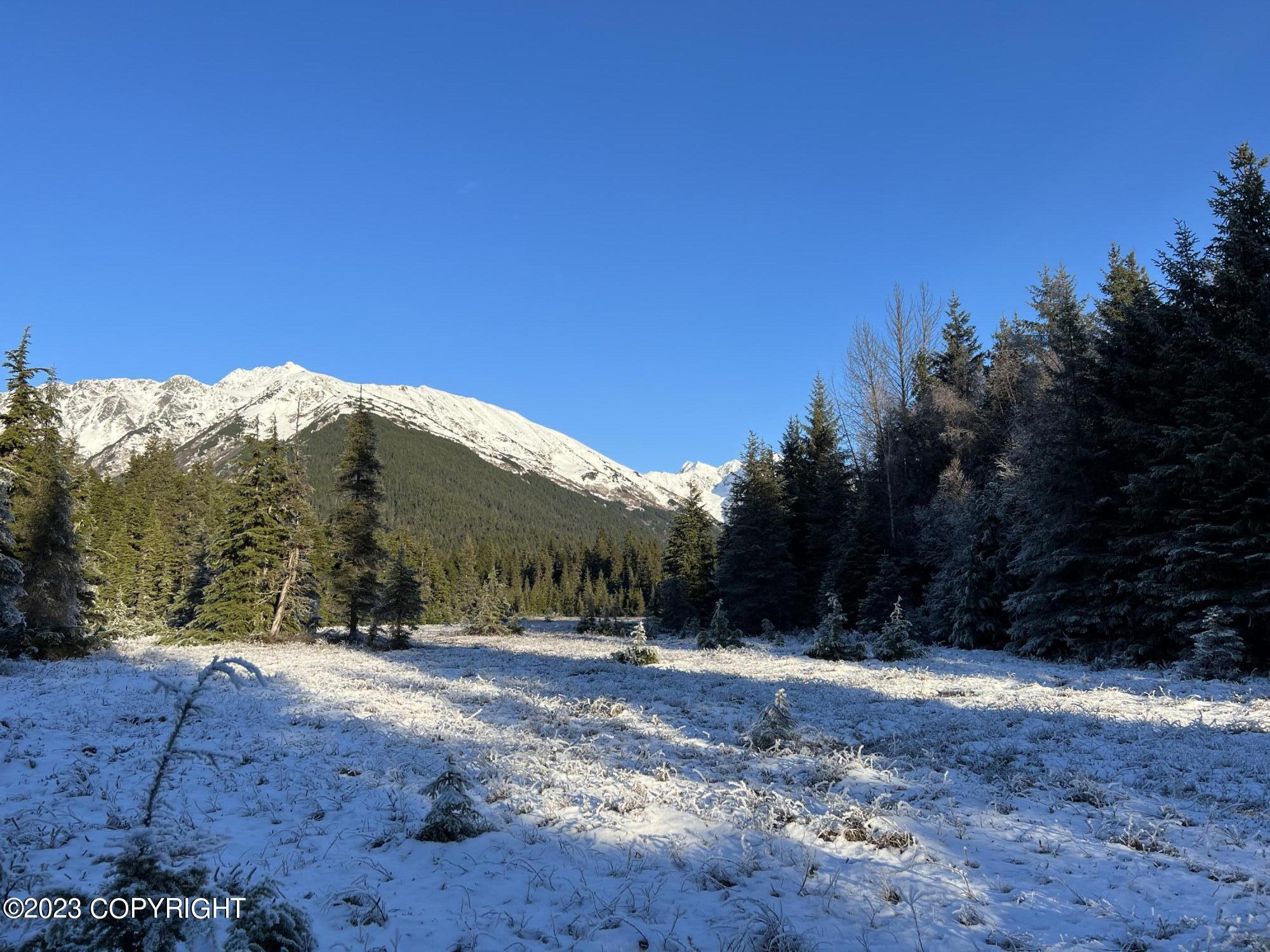 000 Crow Creek Road, Girdwood, Alaska image 5
