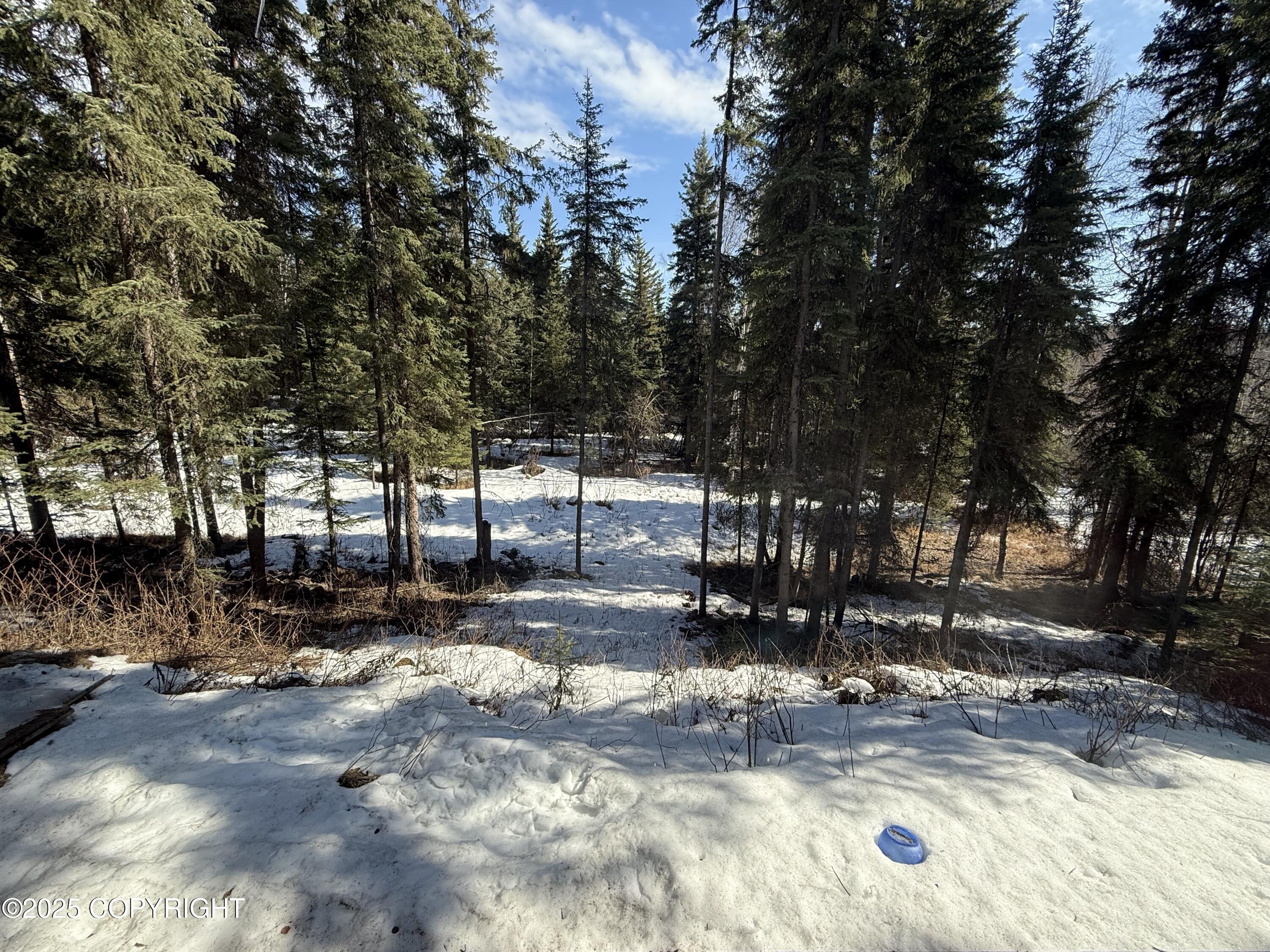 1926 Harmonica Drive, Fairbanks, Alaska image 20