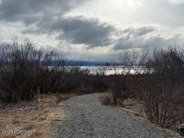 40444 S Summer Star Road, Homer, Idaho image 39