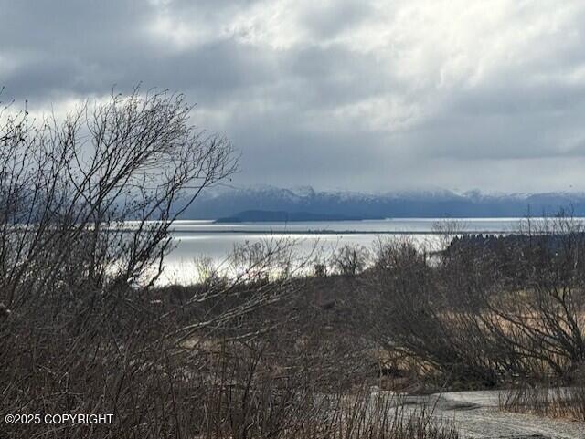 40444 S Summer Star Road, Homer, Idaho image 38