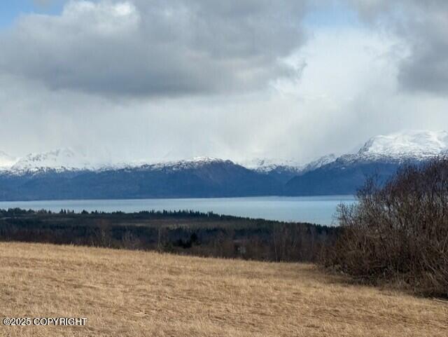 40444 S Summer Star Road, Homer, Idaho image 22