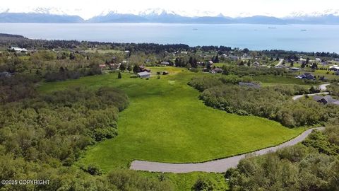 40444 Summer Star Road Homer AK 99603