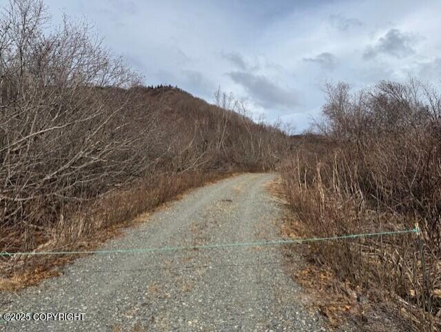 40444 S Summer Star Road, Homer, Idaho image 35