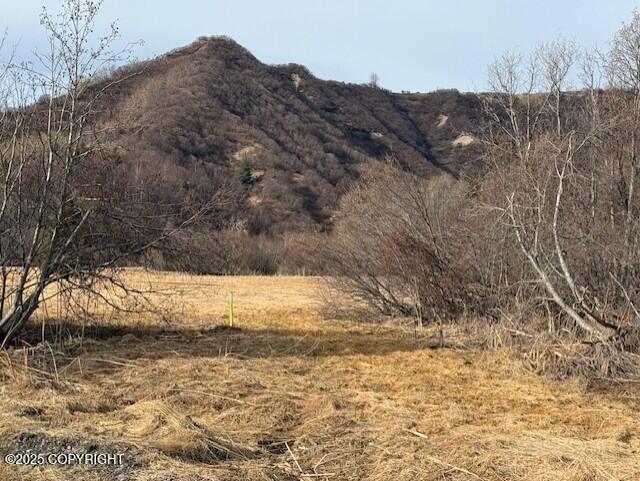 40444 S Summer Star Road, Homer, Idaho image 33