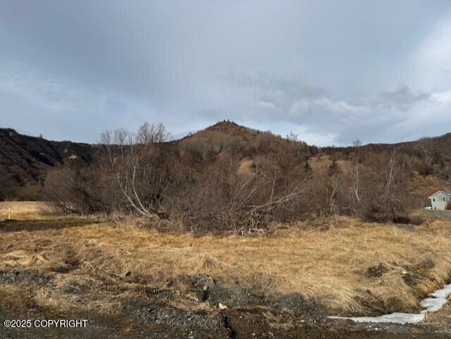 40444 S Summer Star Road, Homer, Idaho image 32