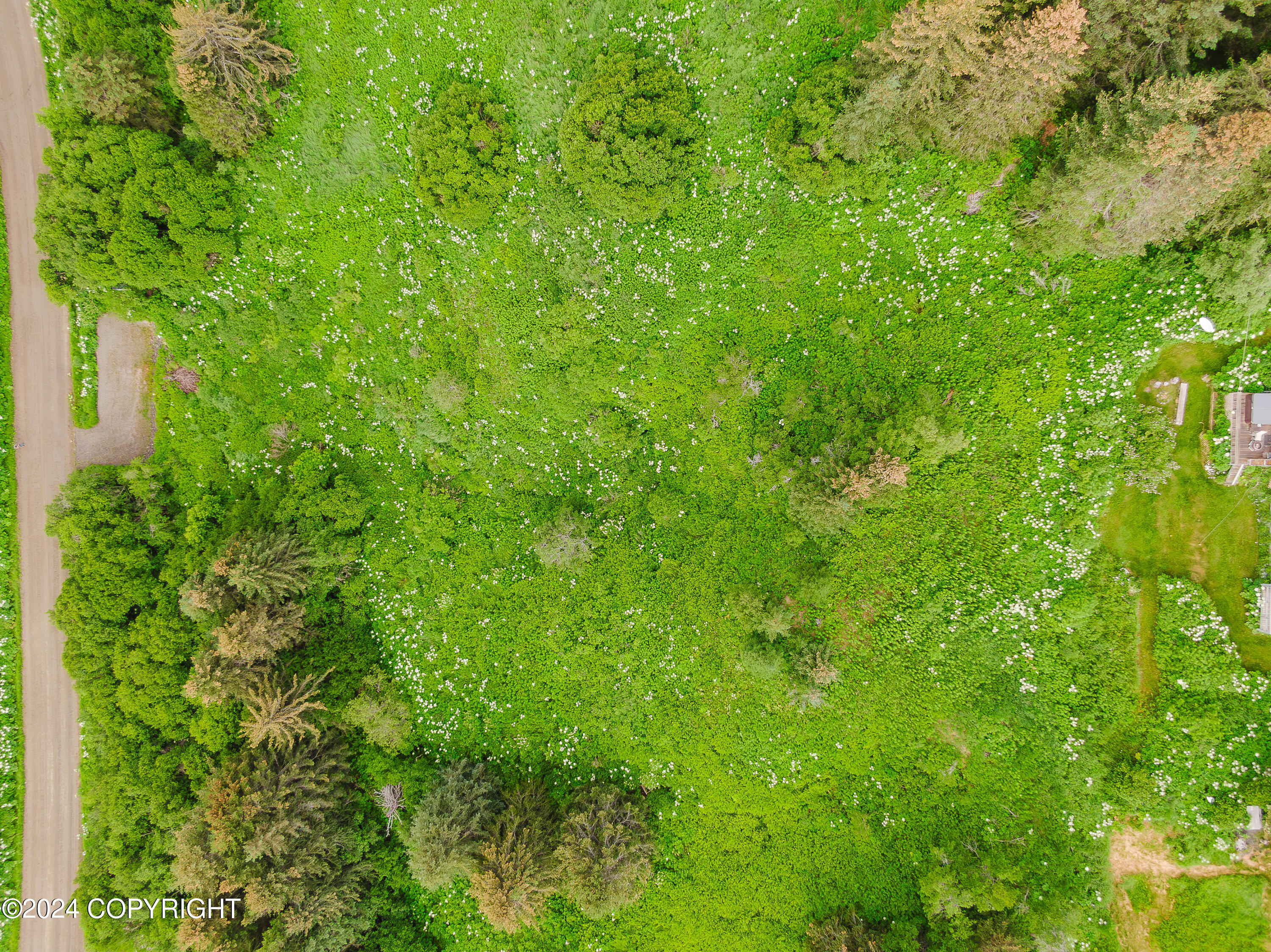 Homer, Alaska 99603, United States, ,Land,Active,52402