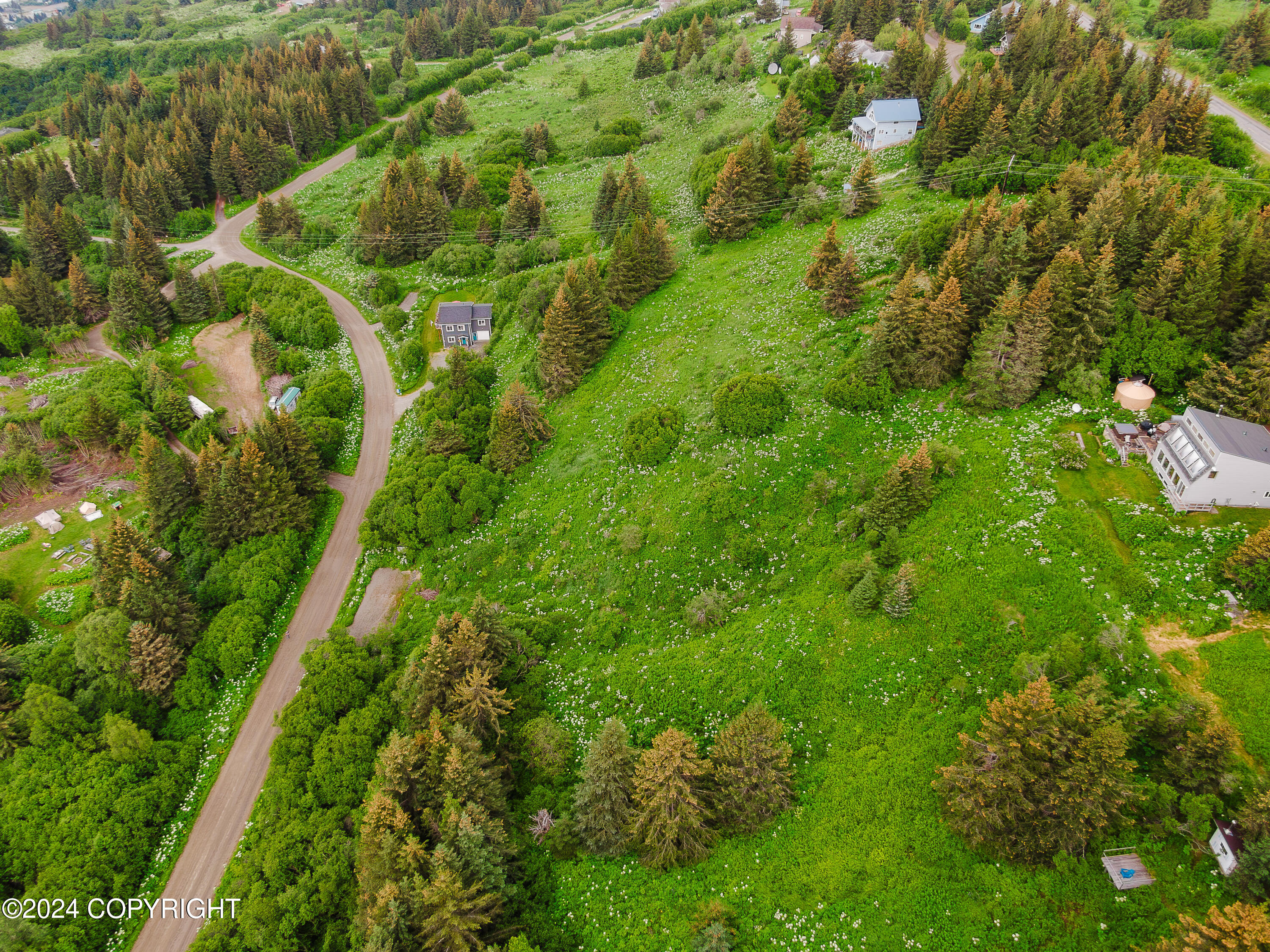 Homer, Alaska 99603, United States, ,Land,Active,52402