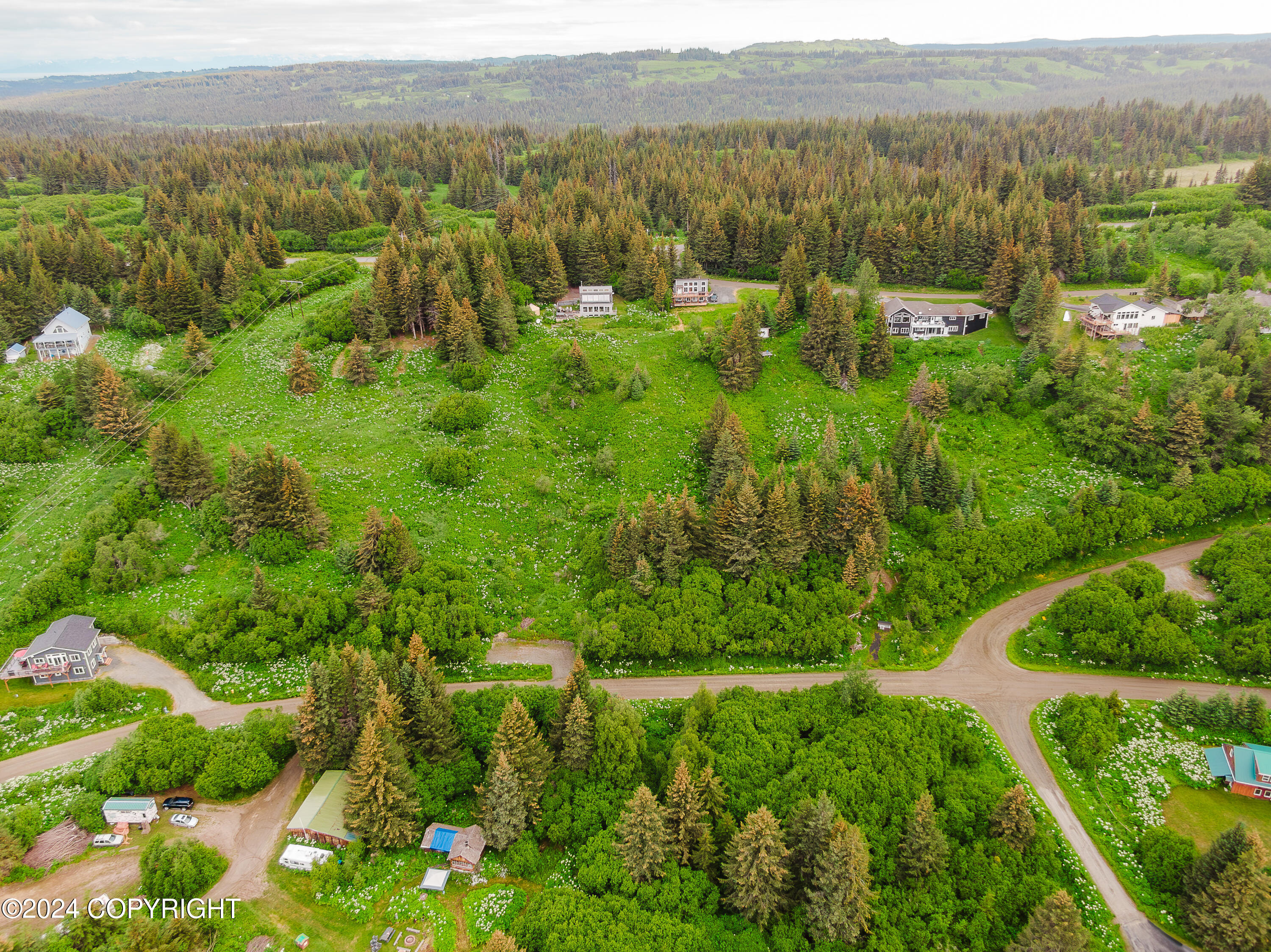 Homer, Alaska 99603, United States, ,Land,Active,52402