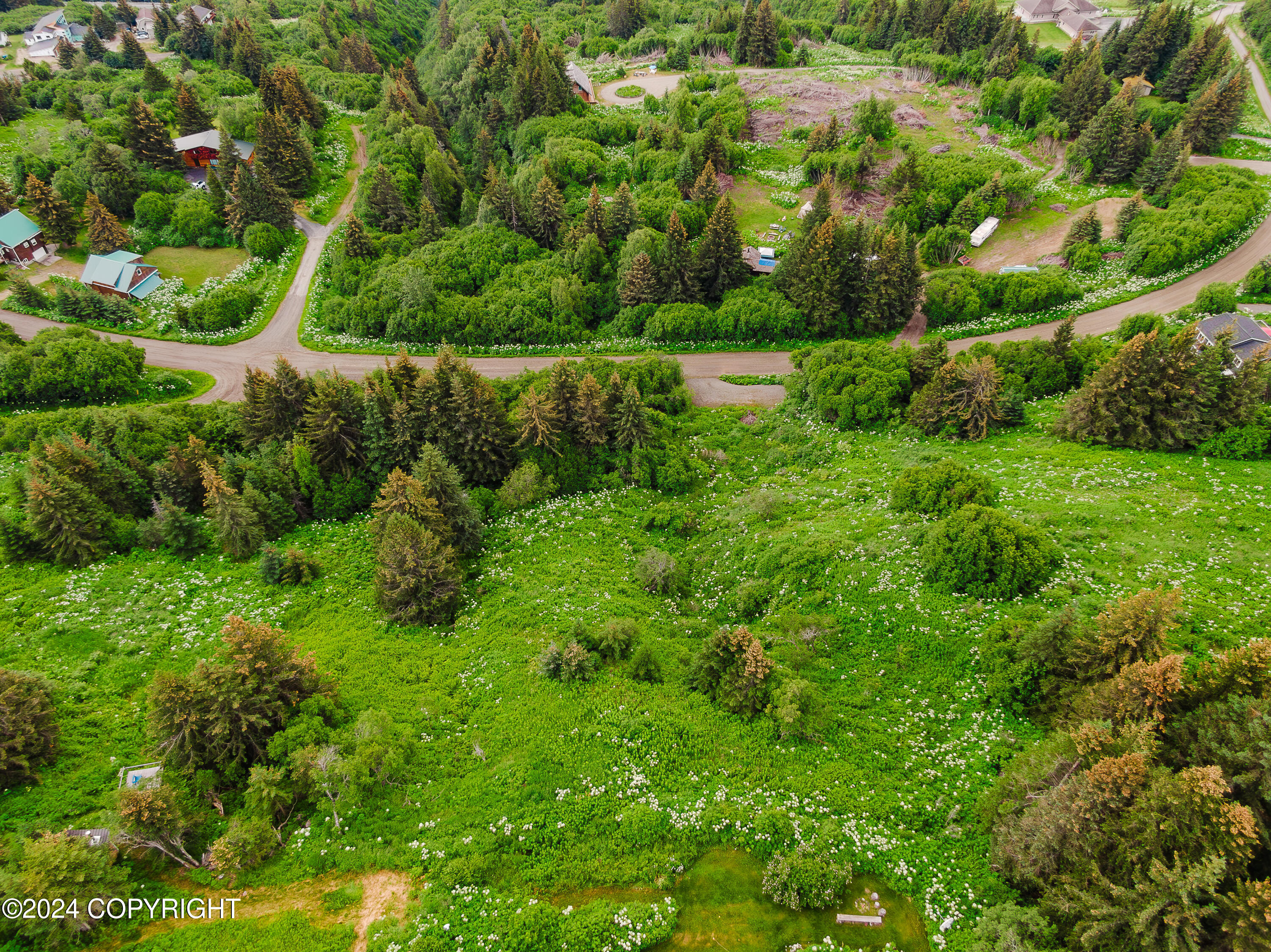 Homer, Alaska 99603, United States, ,Land,Active,52402