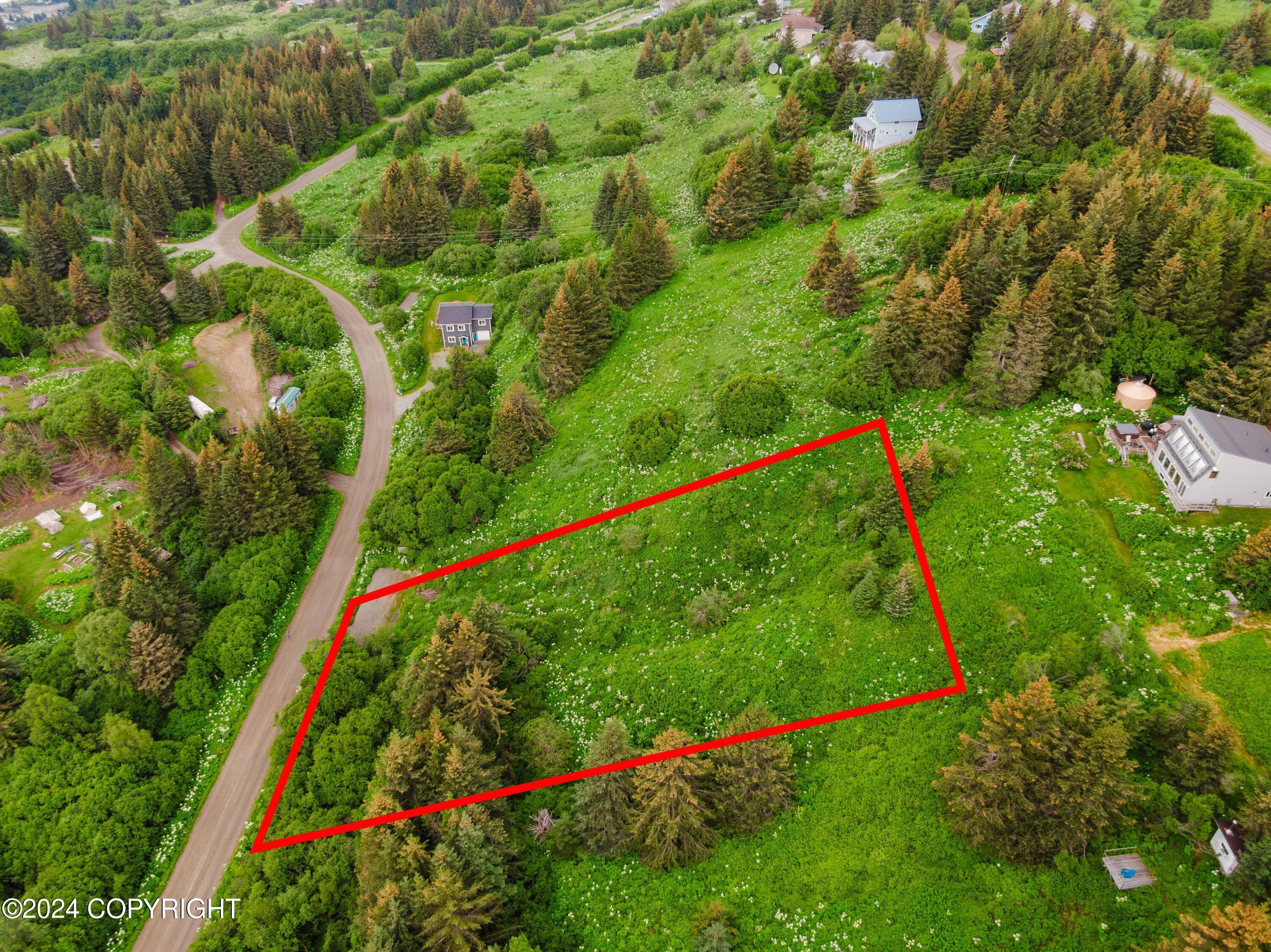 Homer, Alaska 99603, United States, ,Land,Active,52402