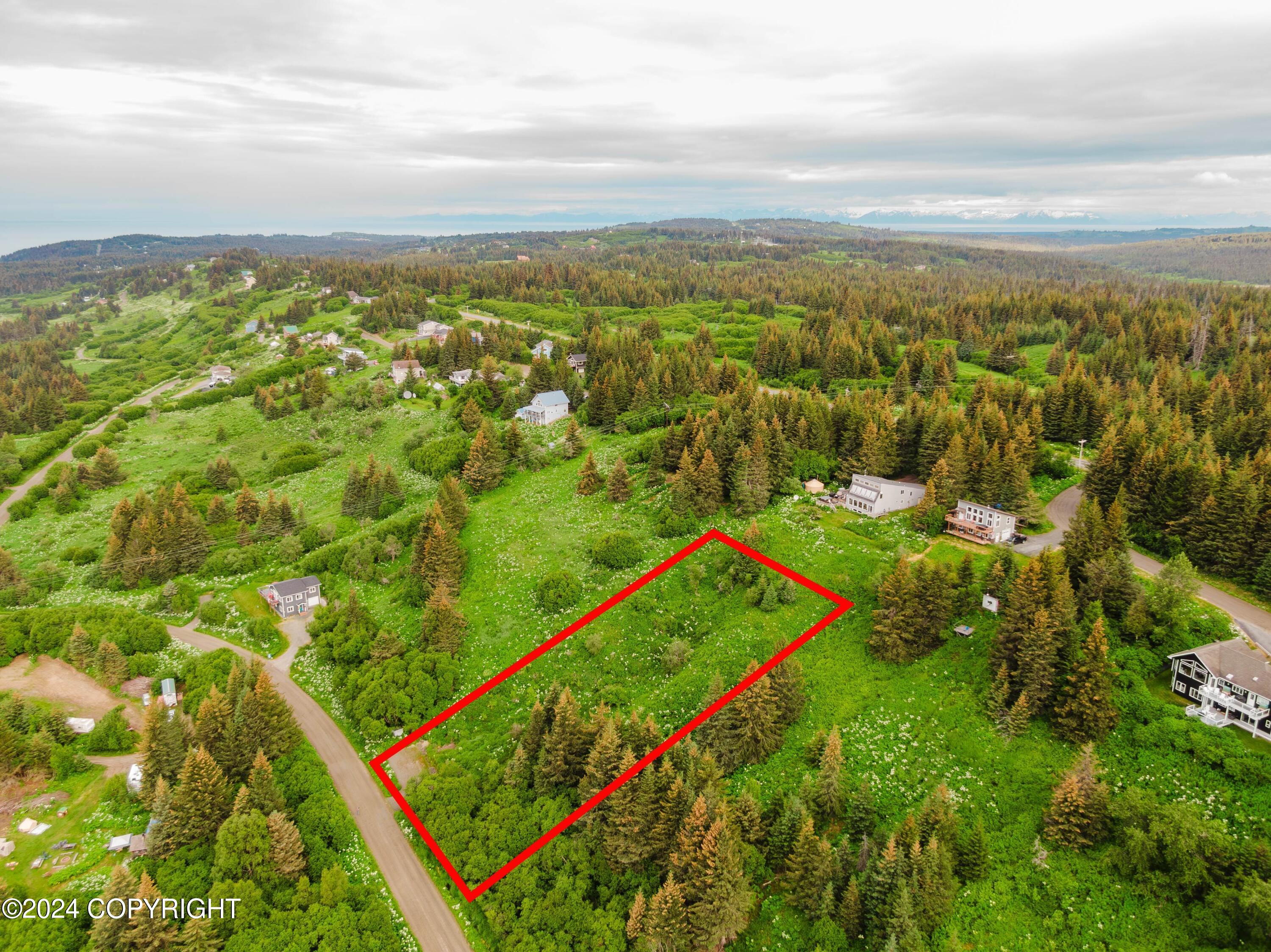 Homer, Alaska 99603, United States, ,Land,Active,52402