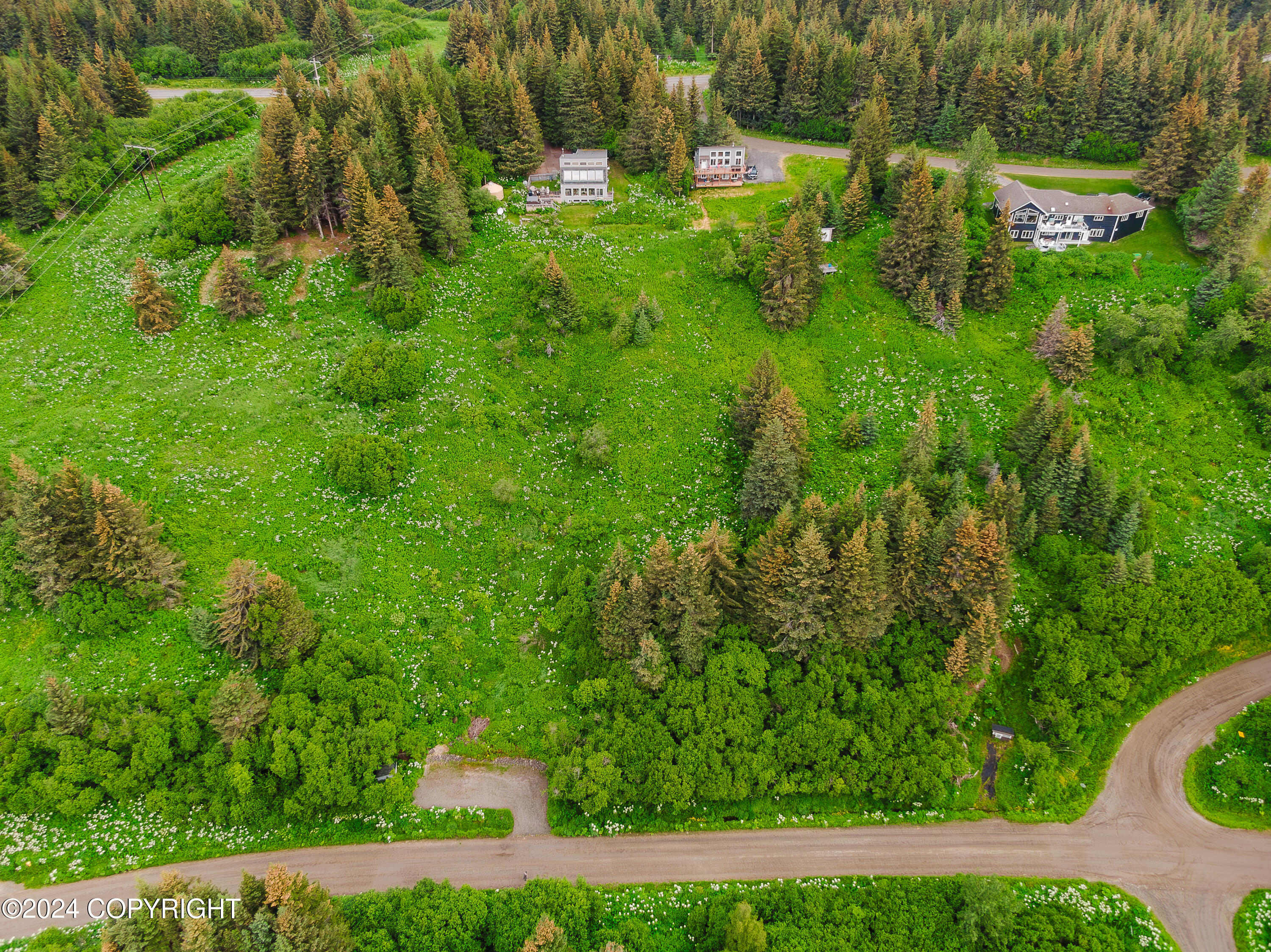 Homer, Alaska 99603, United States, ,Land,Active,52402