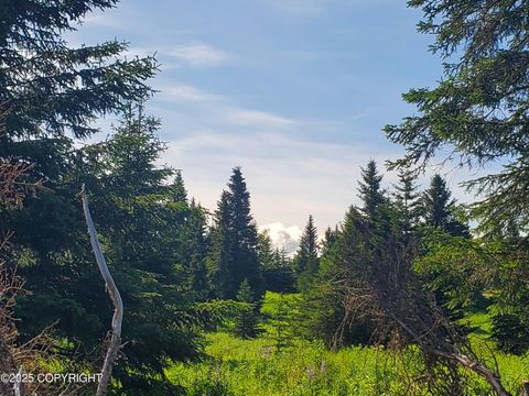 Homes For Sale - 17490 Chefornak Street<br/> Ninilchik, AK 99639