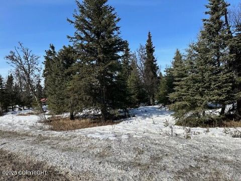 Homes For Sale - 66350 Oil Well Road<br/> Ninilchik, AK 99639