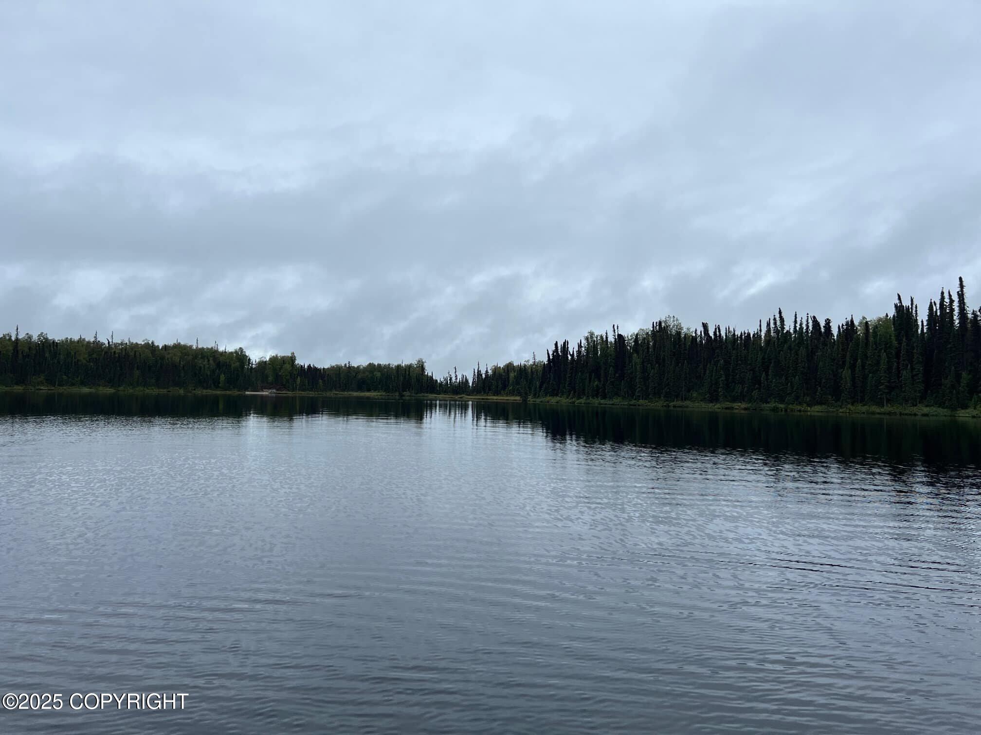 21235 E Quarah Lake Avenue, Talkeetna, Alaska image 10