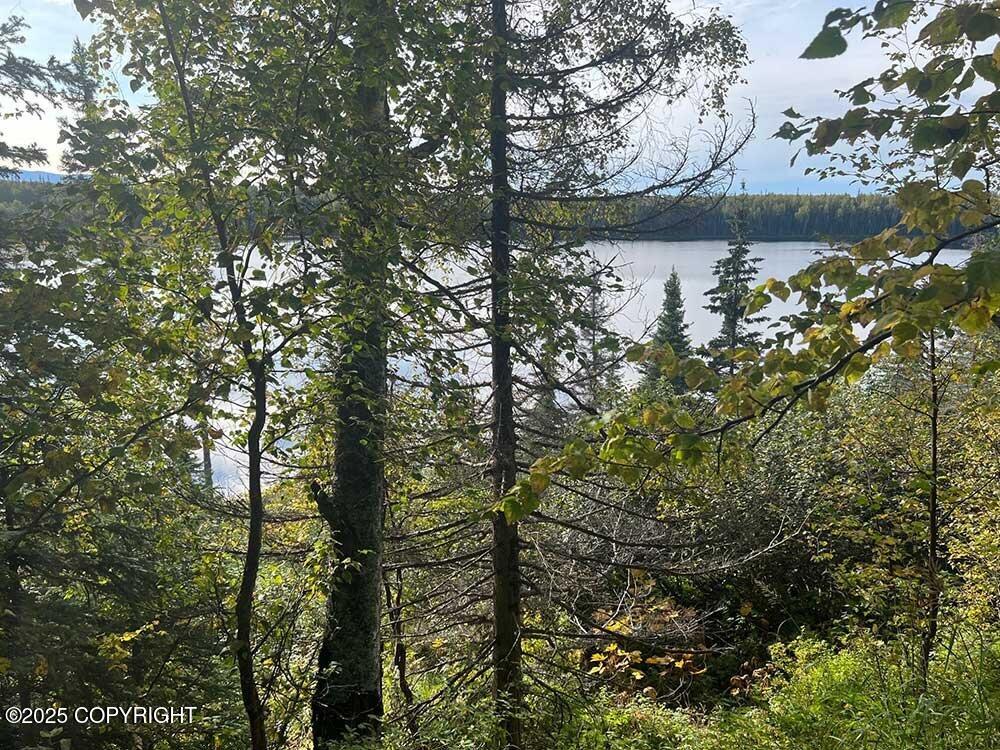 21235 E Quarah Lake Avenue, Talkeetna, Alaska image 11