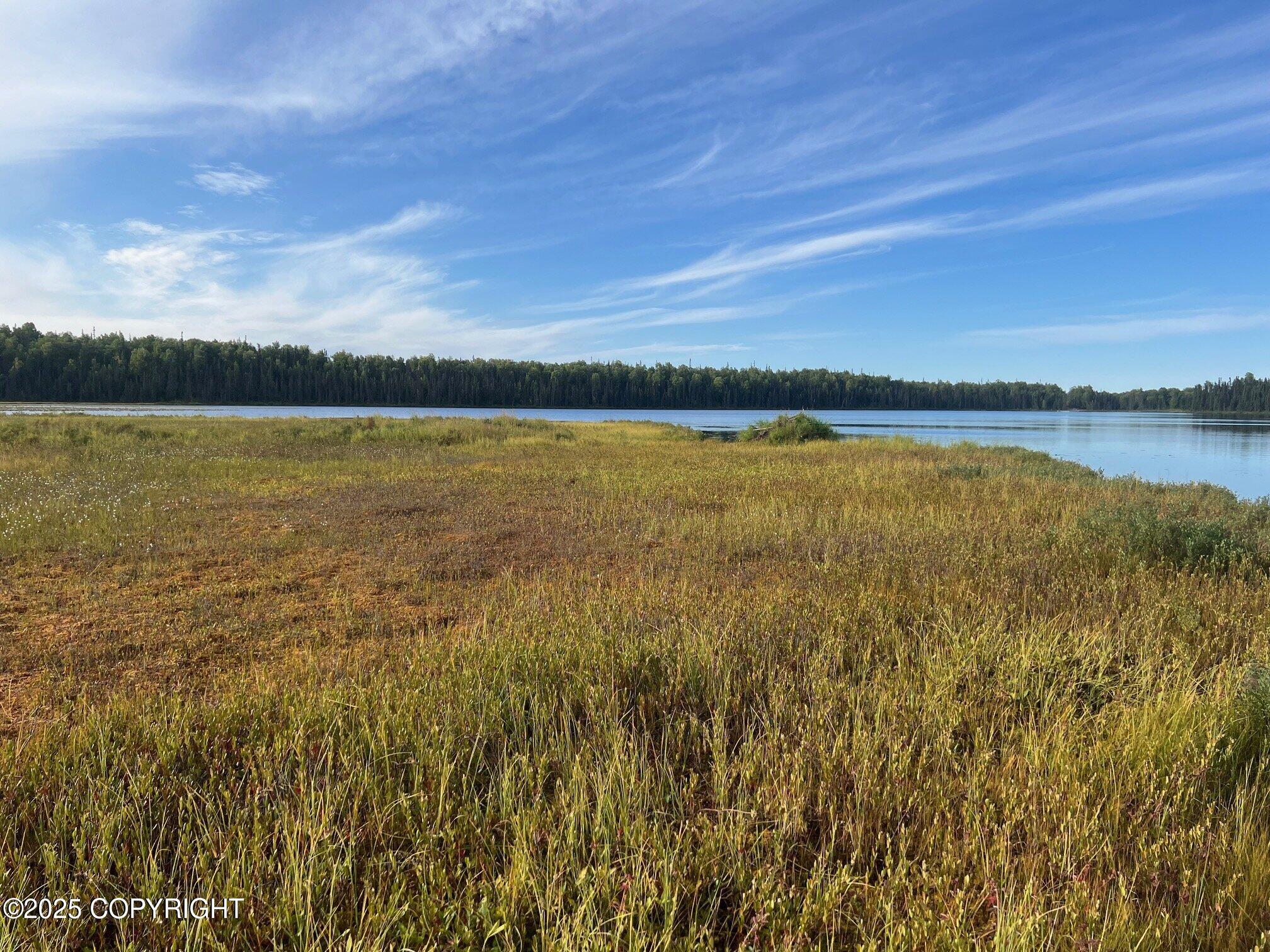 21235 E Quarah Lake Avenue, Talkeetna, Alaska image 22