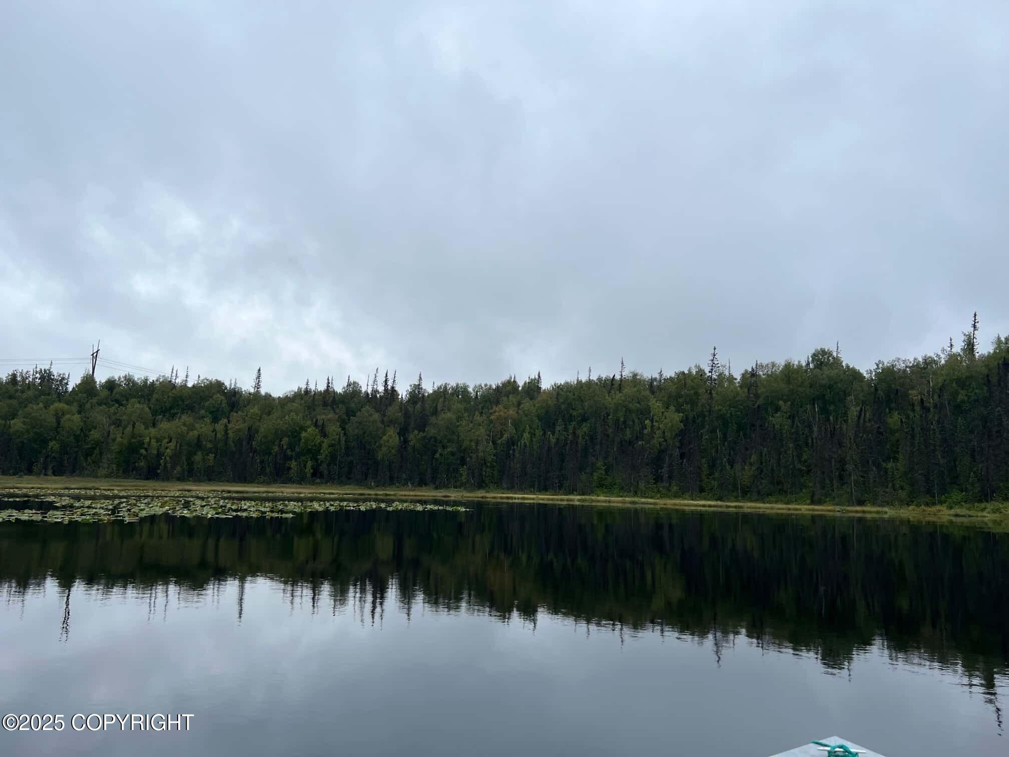 21235 E Quarah Lake Avenue, Talkeetna, Alaska image 8