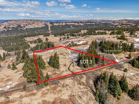Vacant Land For Sale - L3 Salin's Spur Road<br/> Homer, AK 99603
