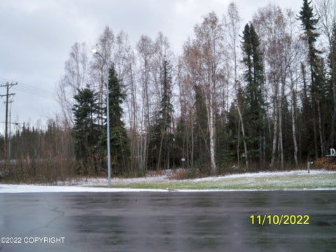 Vacant Land For Sale - NKN Chief William Drive<br/> Fairbanks, AK 99709