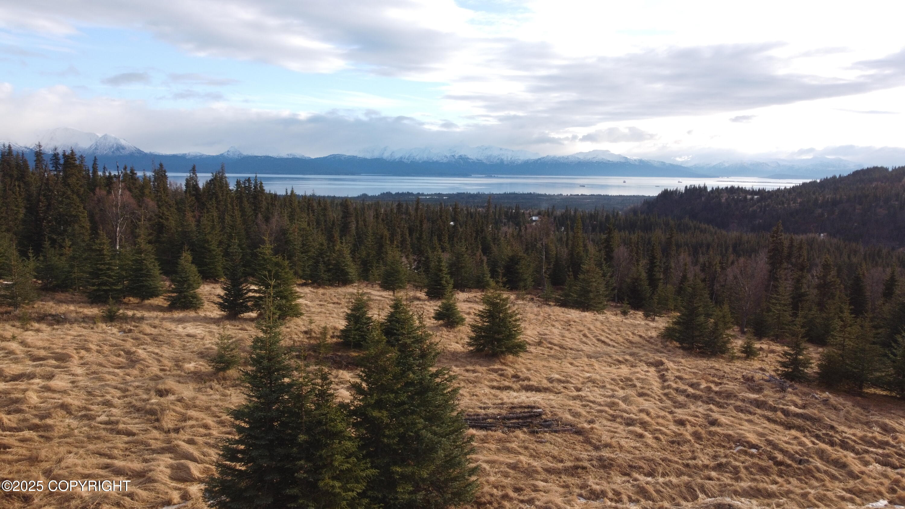 55675 W Benjamin Avenue, Homer, Alaska image 2