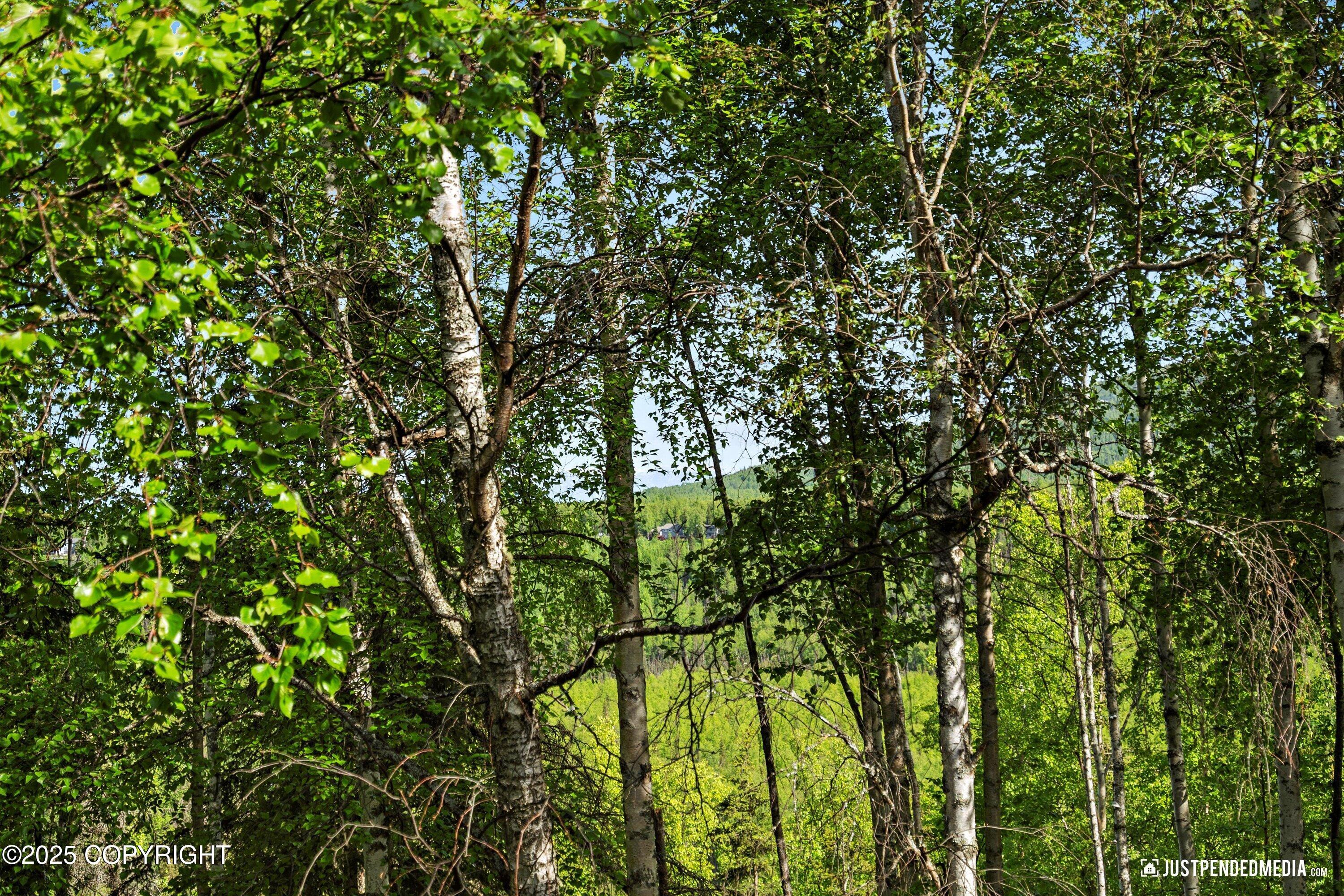 17103 Yellowstone Drive, Eagle River, Alaska image 35