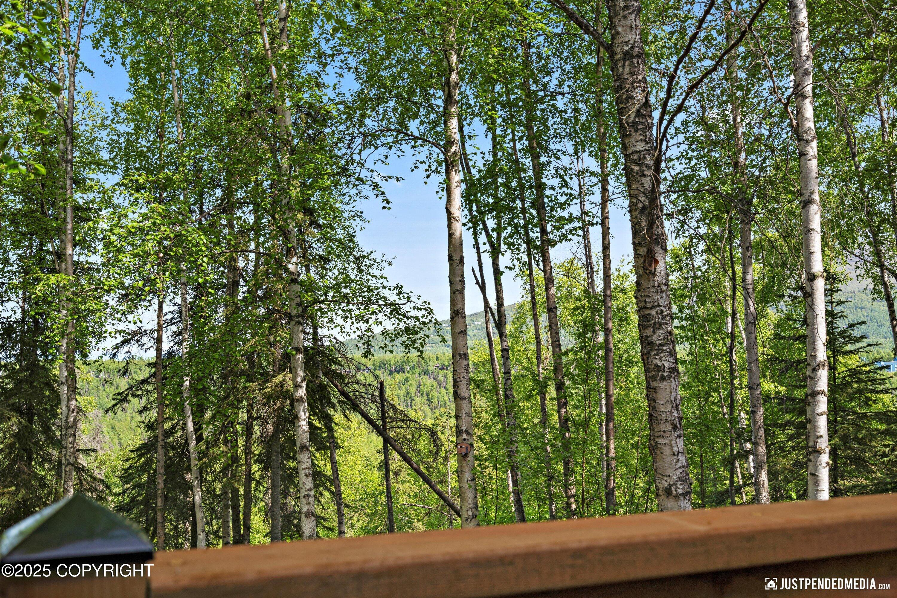 17103 Yellowstone Drive, Eagle River, Alaska image 19